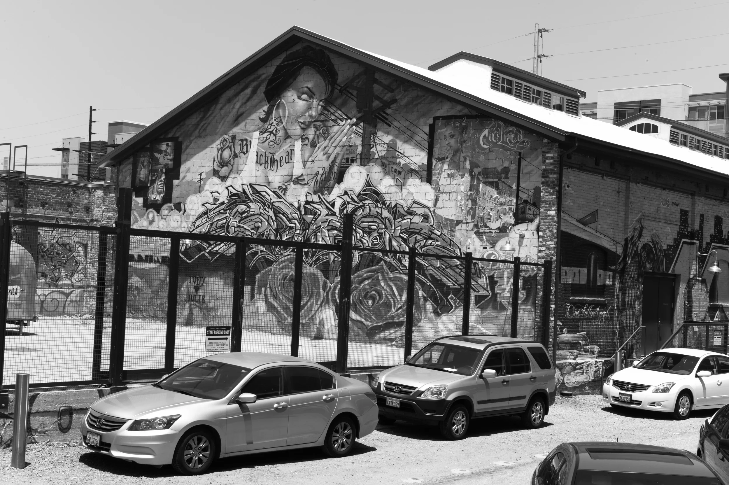 L1003056.jpg
