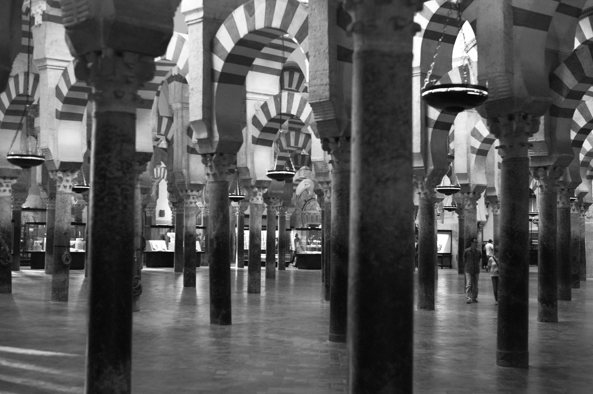 L1003762.jpg
