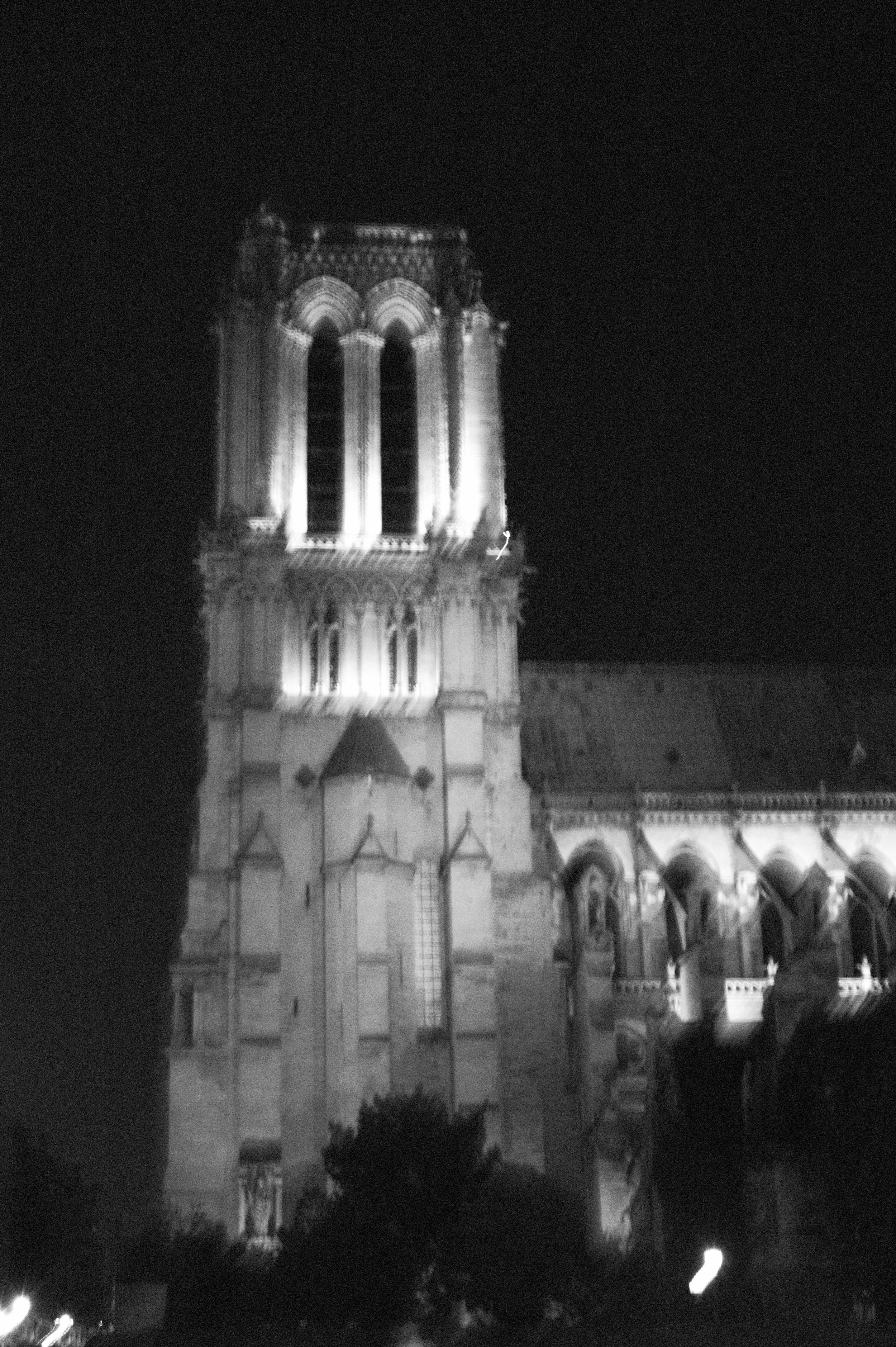 L1003234.jpg