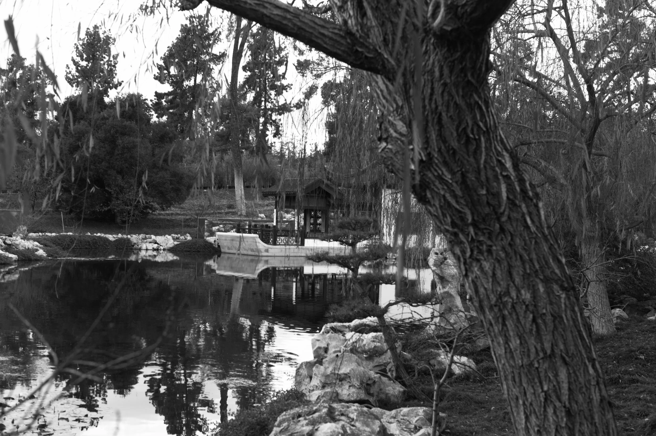 L1004208.jpg
