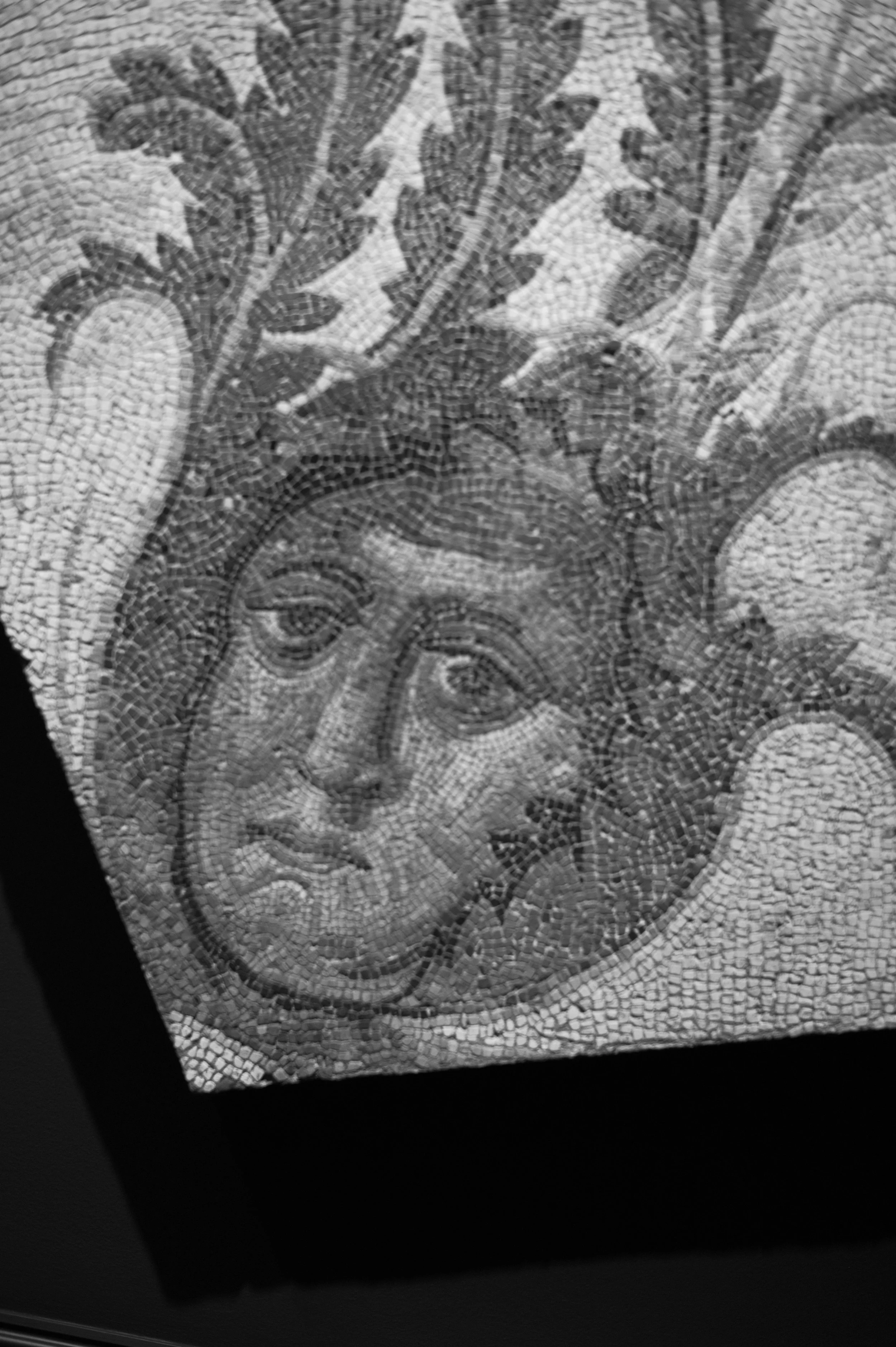 L1004167.jpg