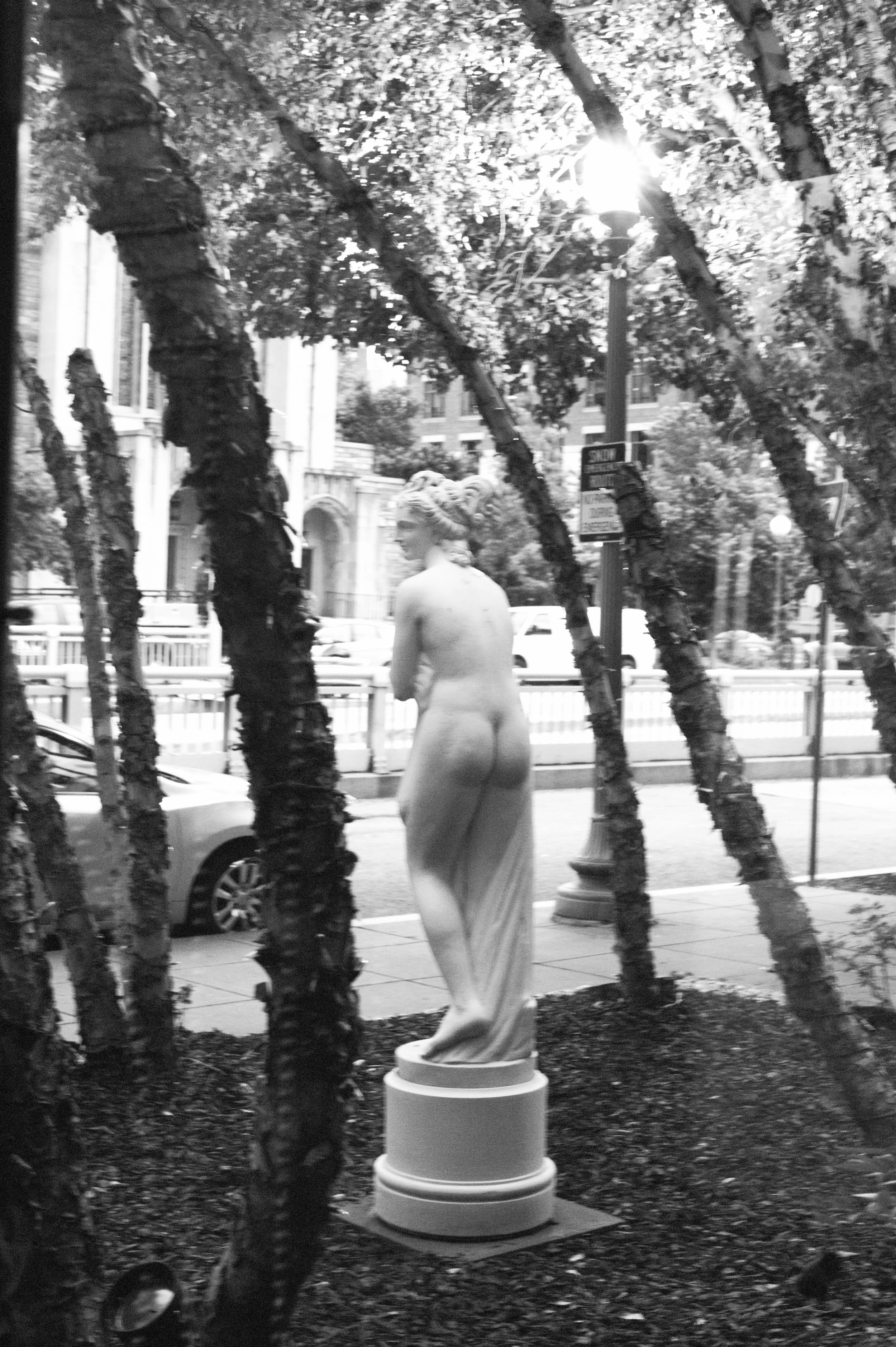 L1004496.jpg