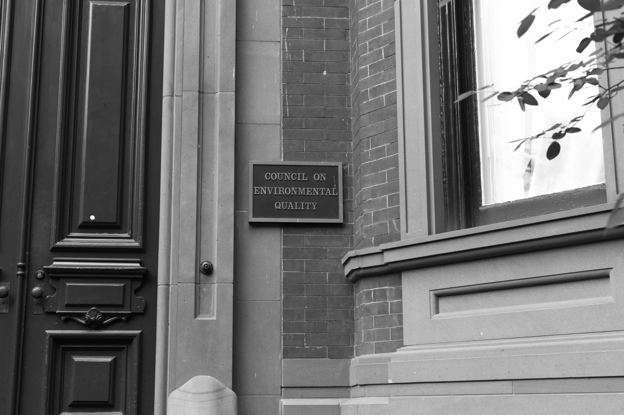 L1004502.jpg