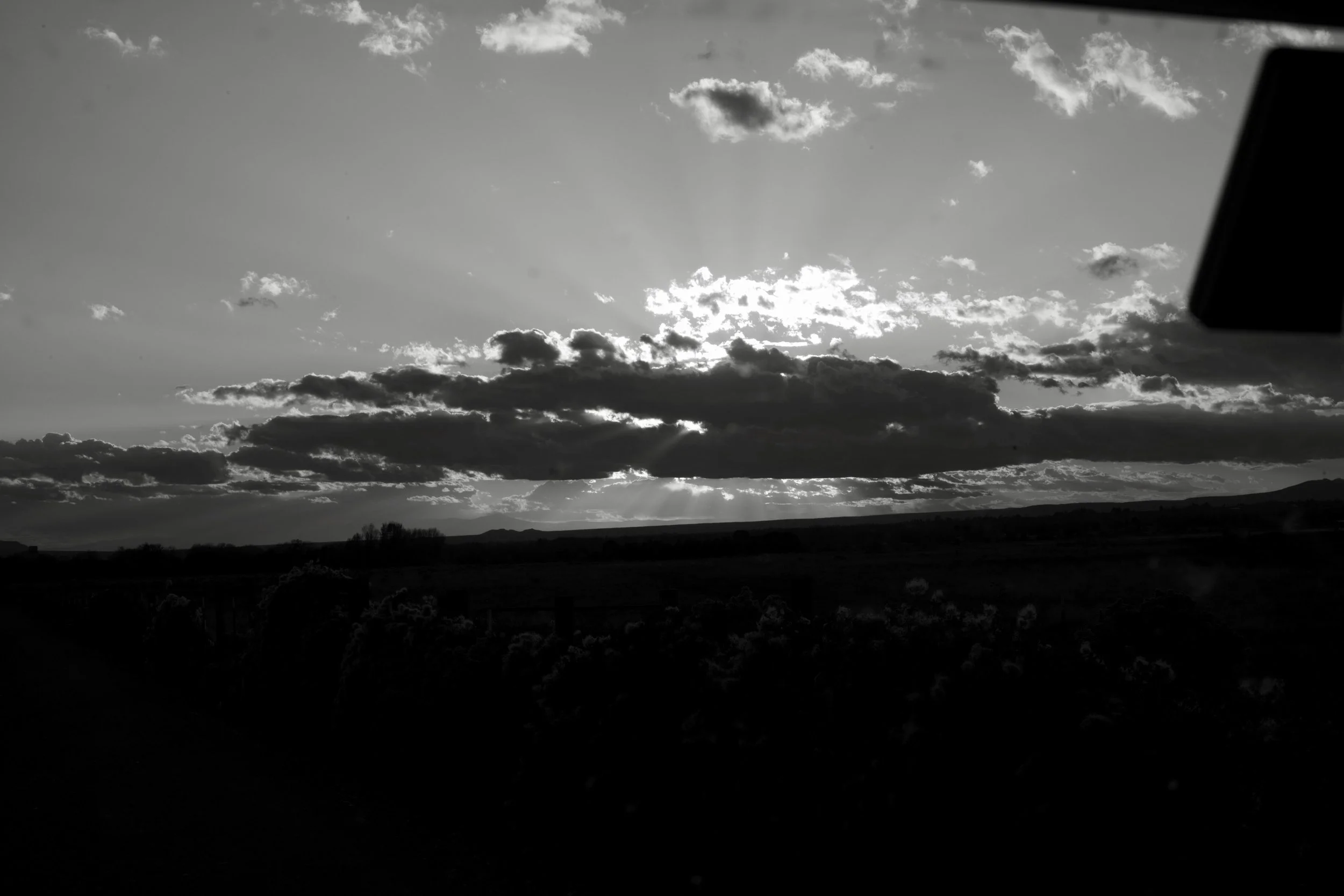 L1000673.jpg