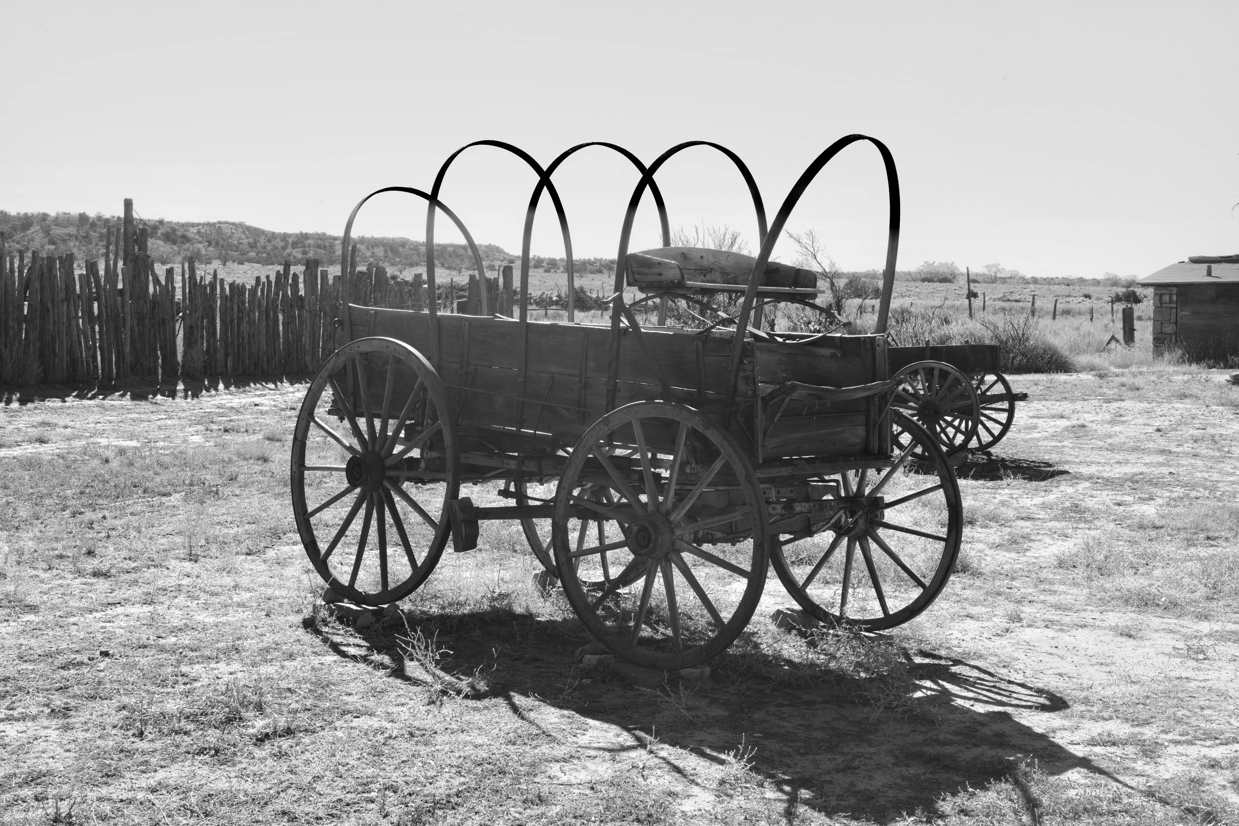 L1000634.jpg