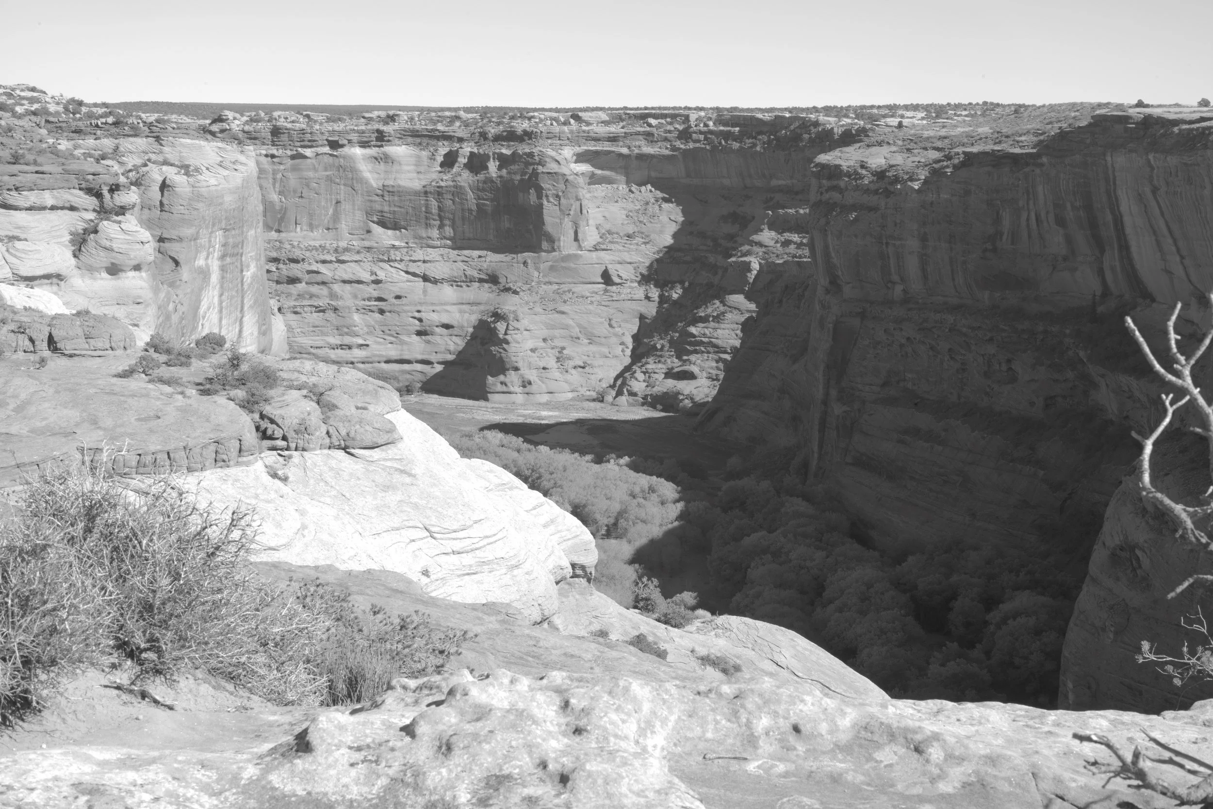 L1000494.jpg