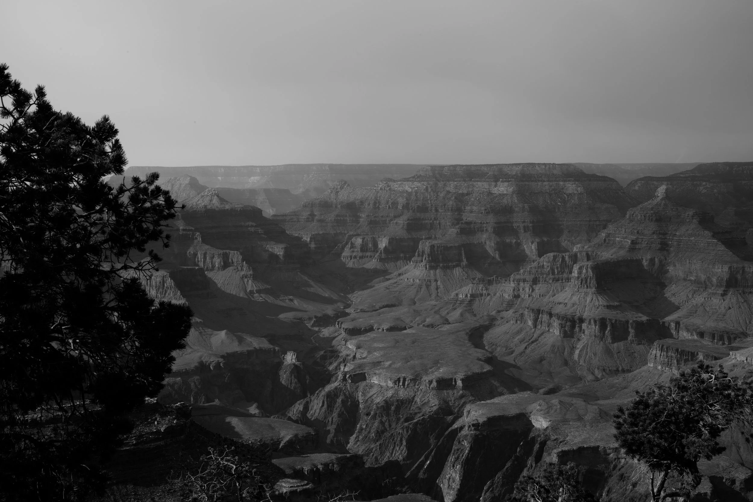 L1000027.jpg