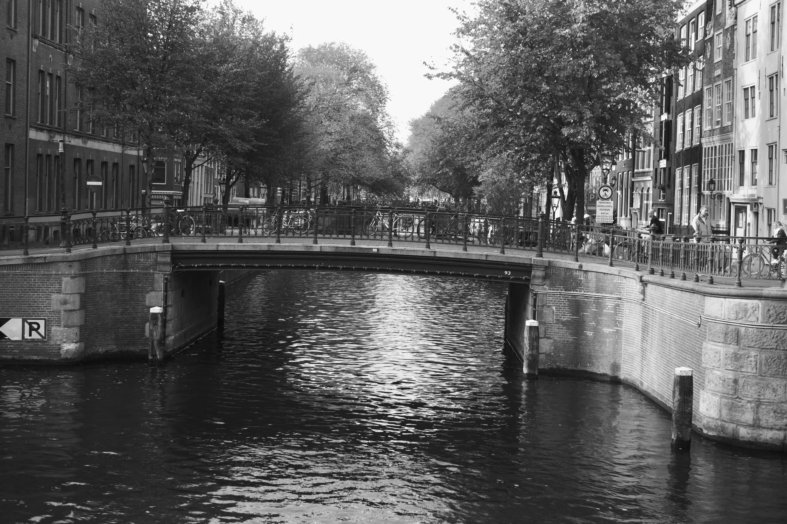 L1004816 2.jpg