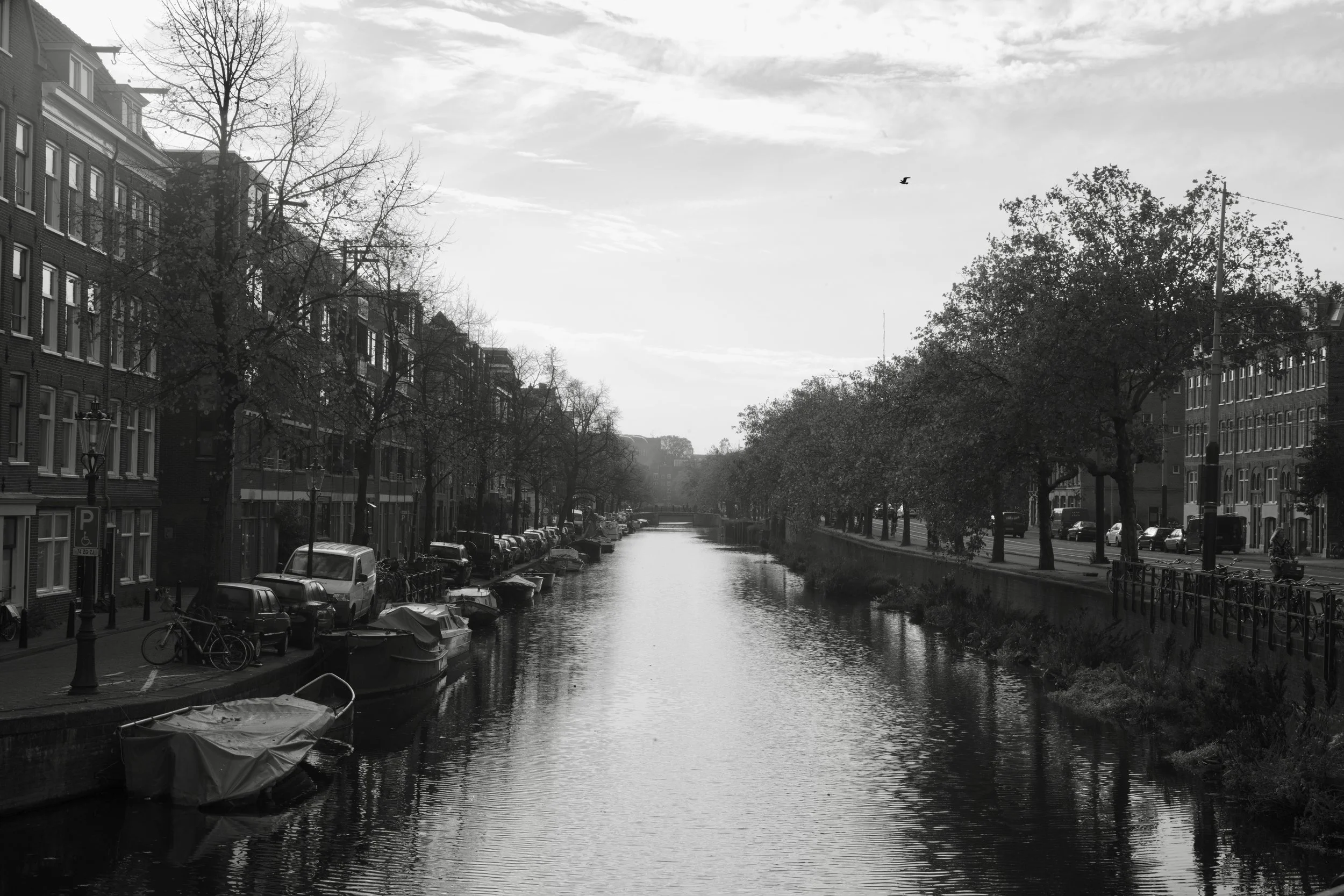 L1004798 2.jpg