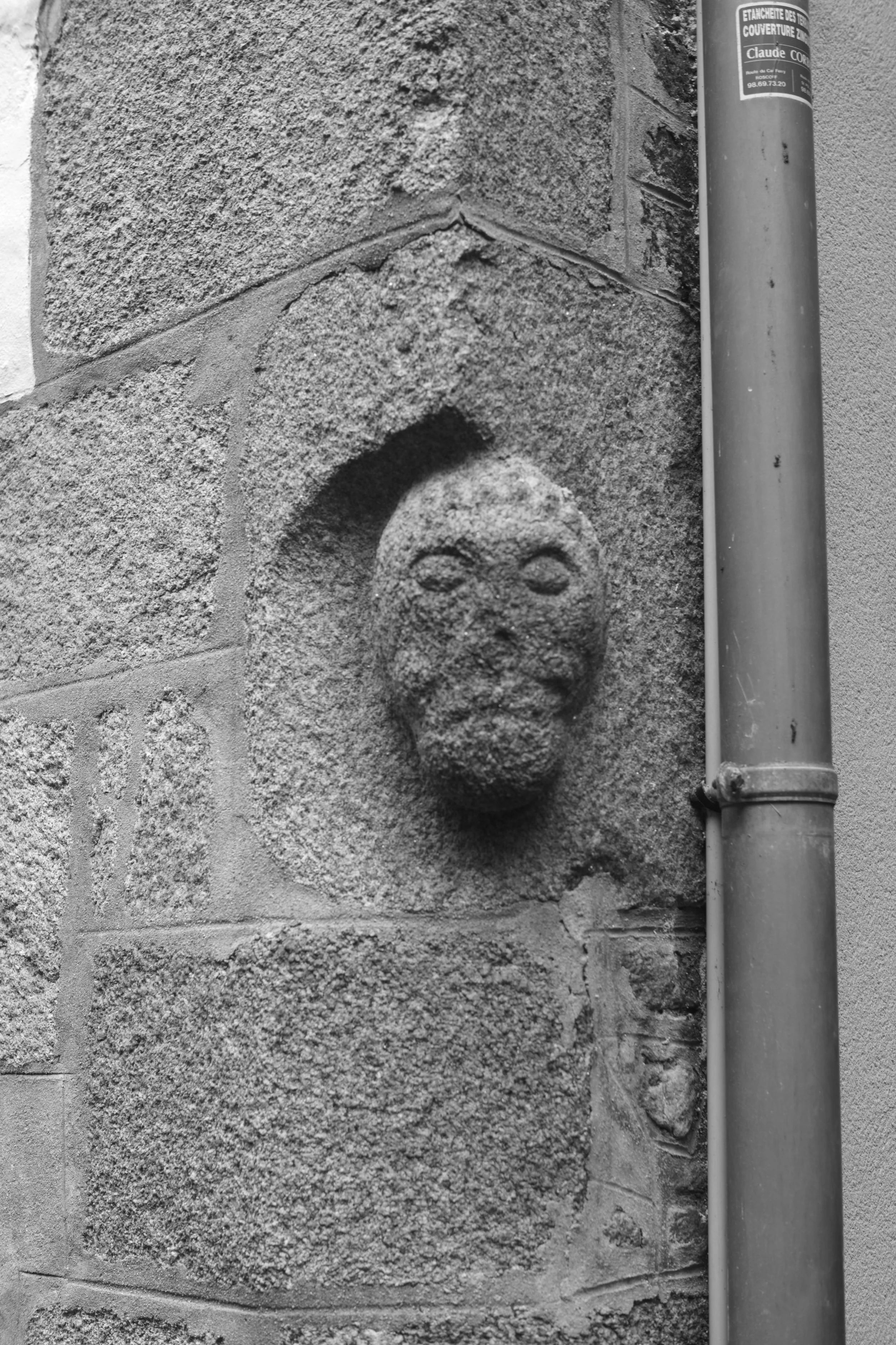 L1005418 2.jpg