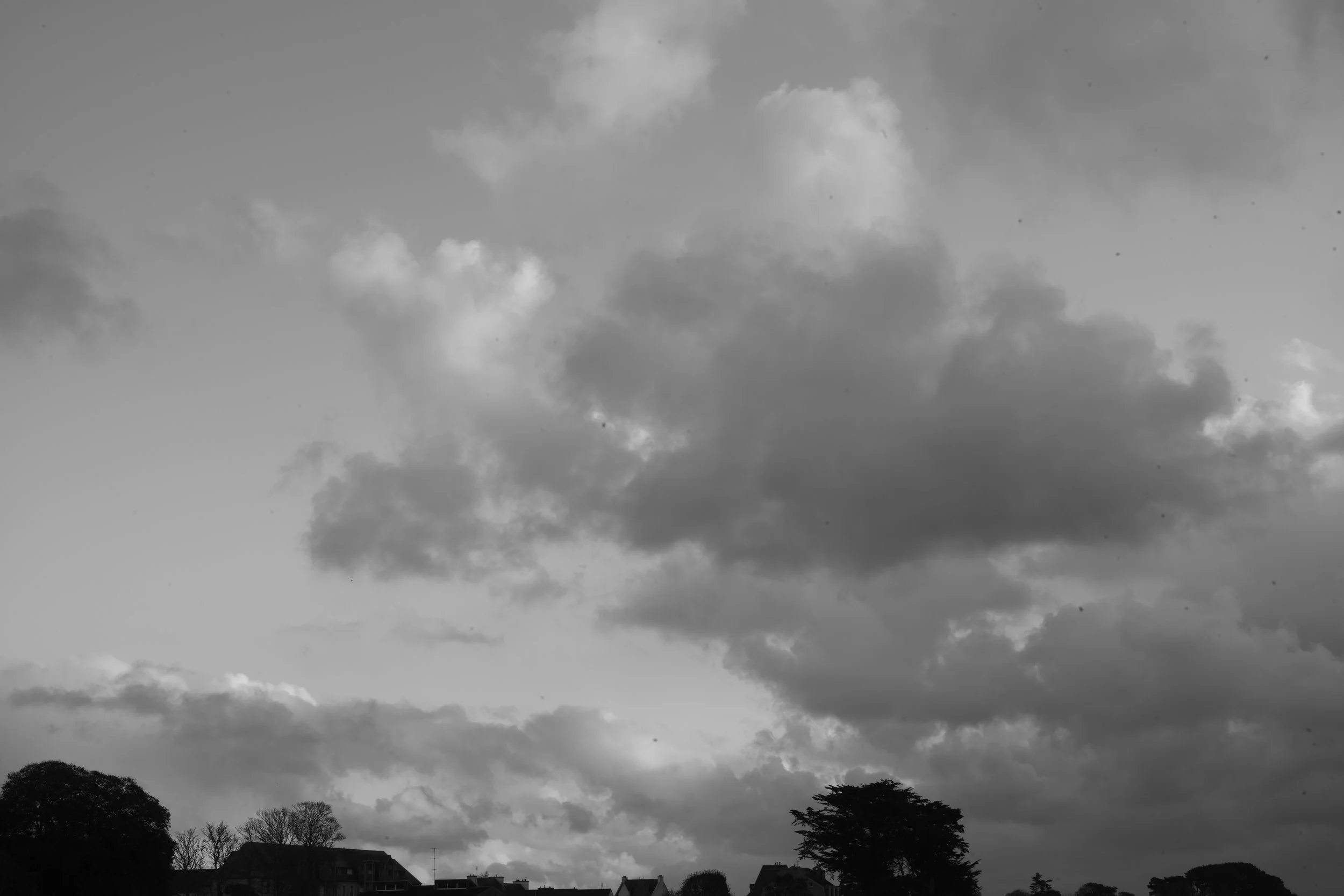 L1005409 2.jpg