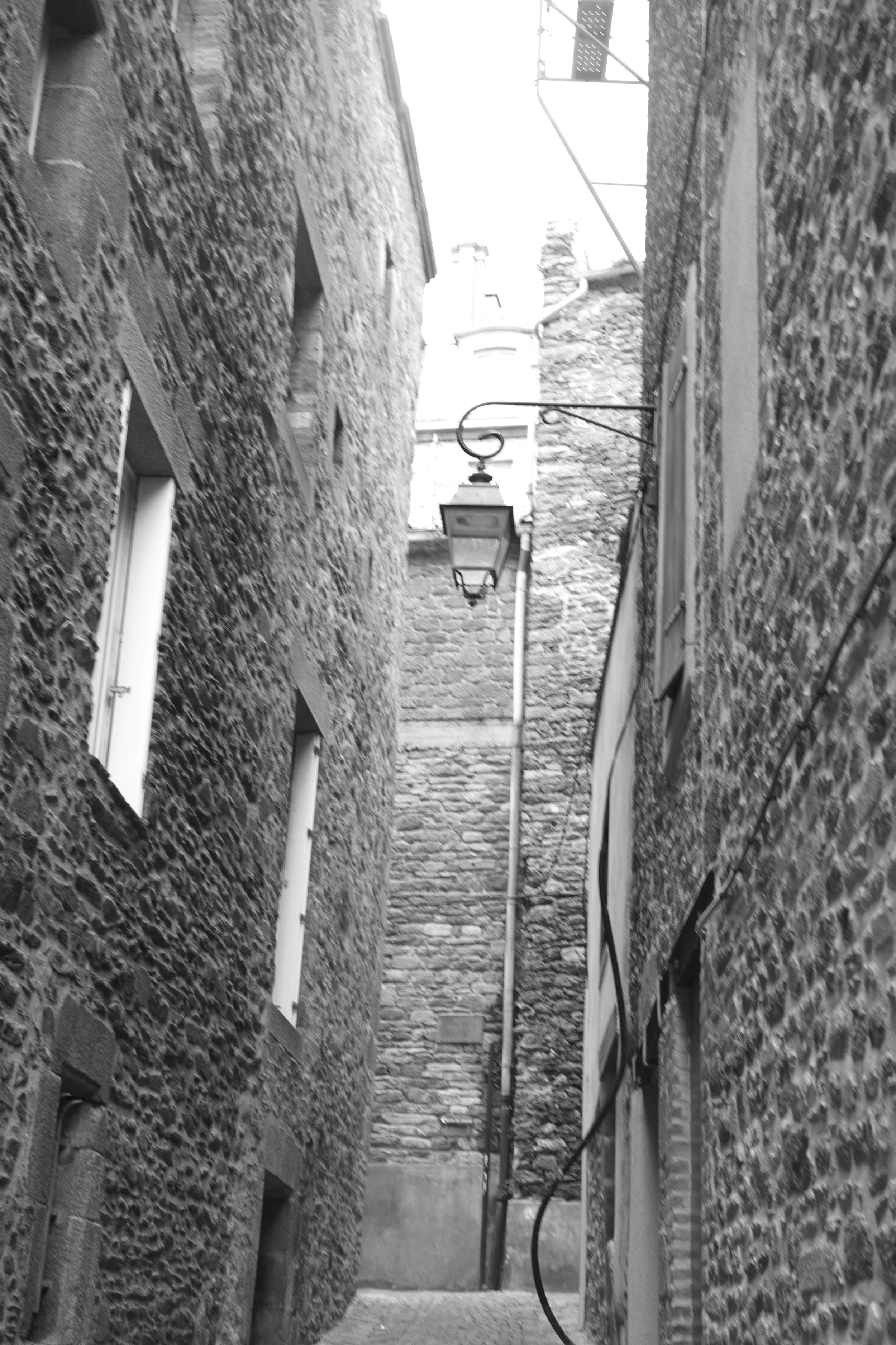 L1005373 2.jpg