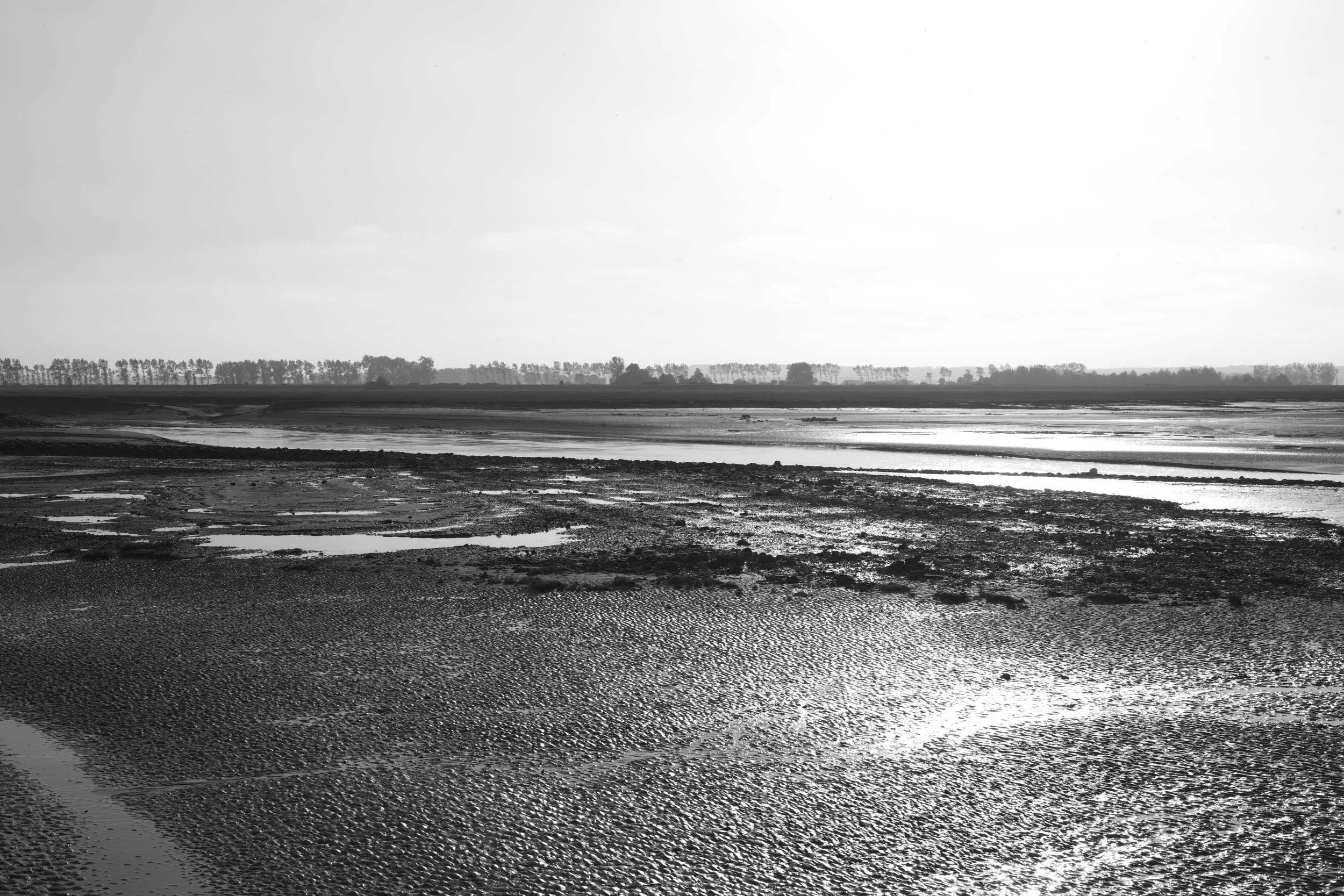 L1005334 2.jpg