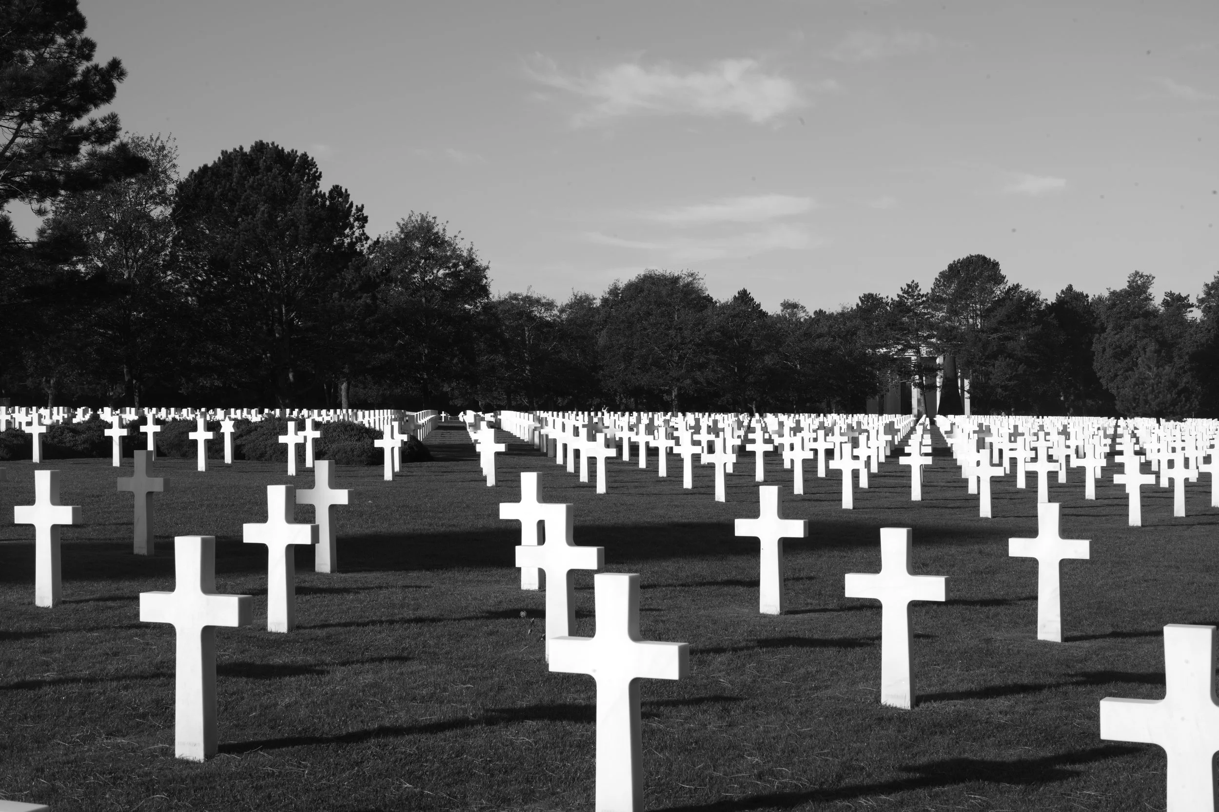 L1005208 2.jpg