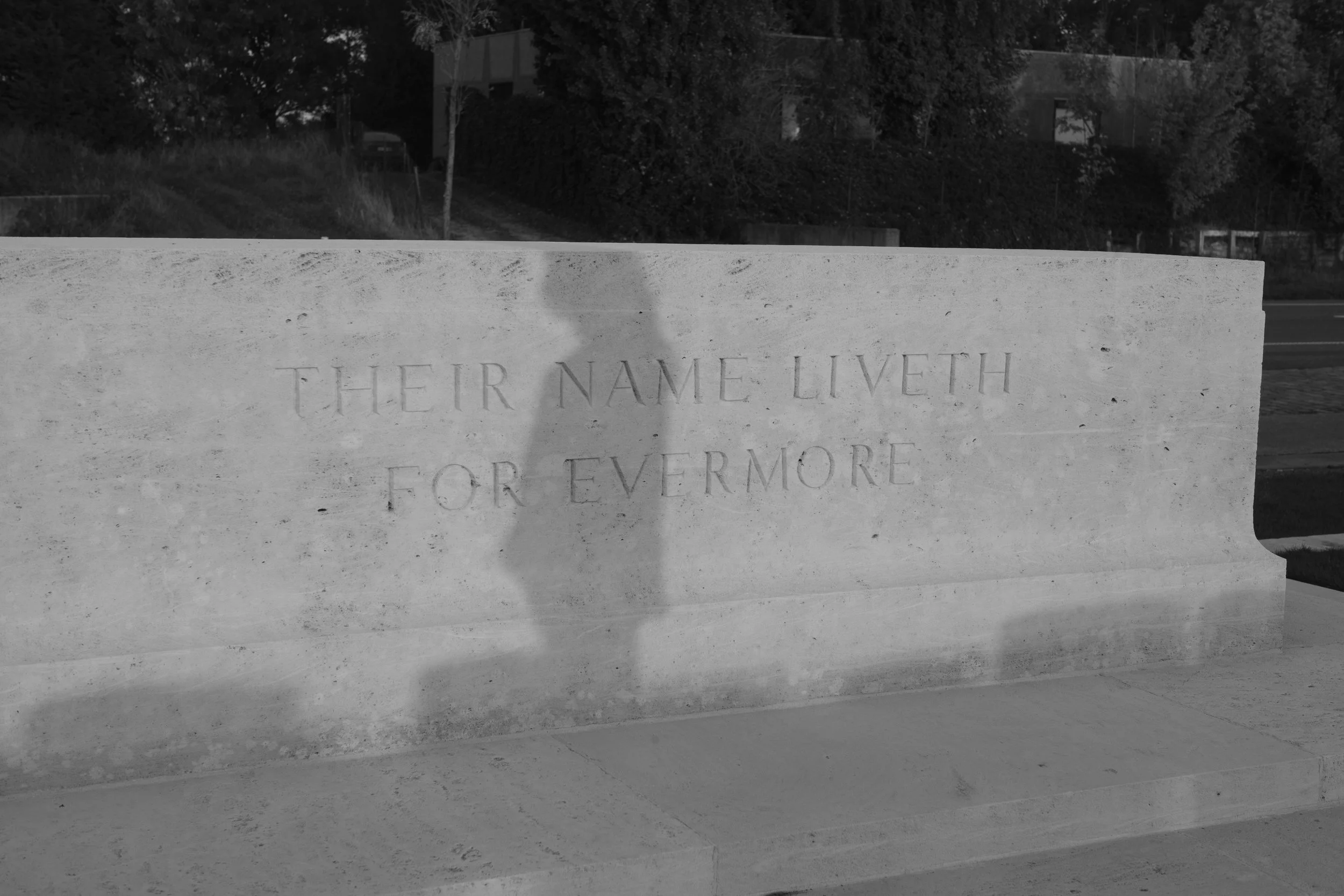 L1004986 2.jpg