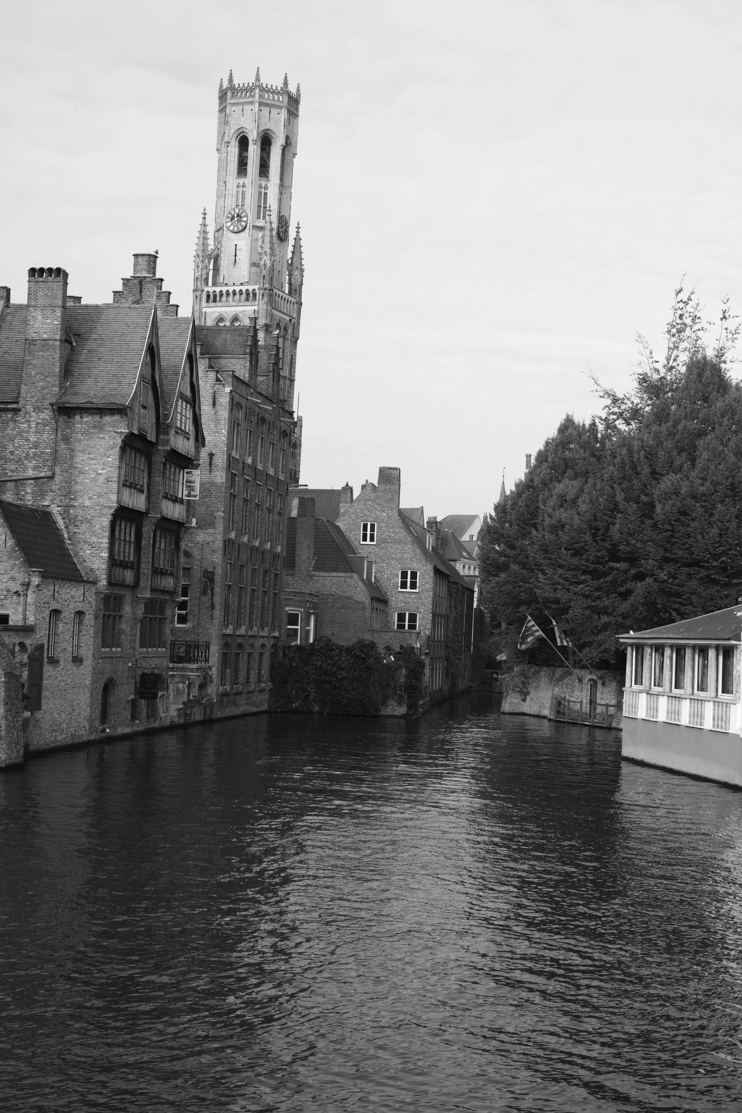 L1004939 2.jpg