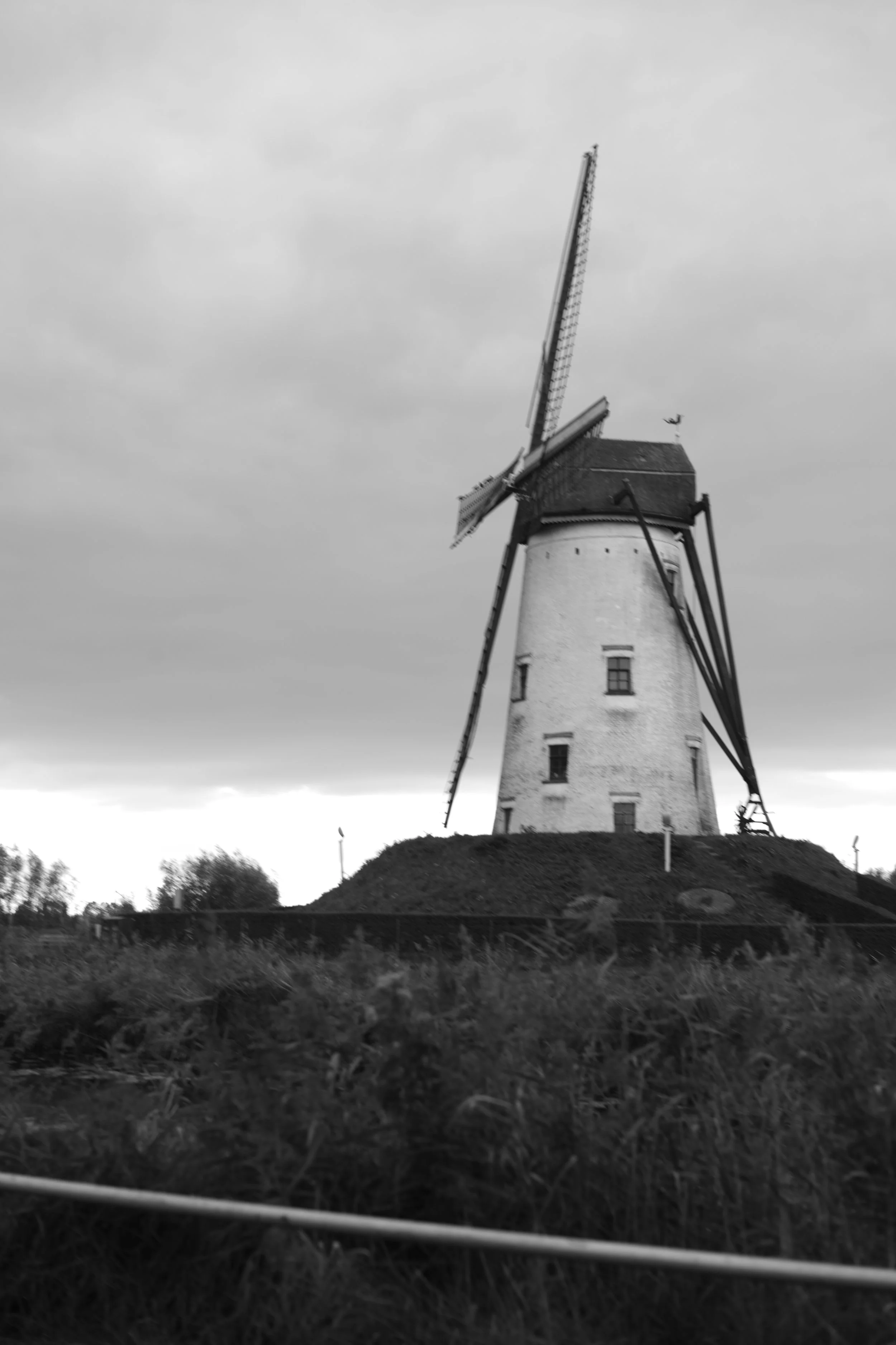 L1004918 2.jpg