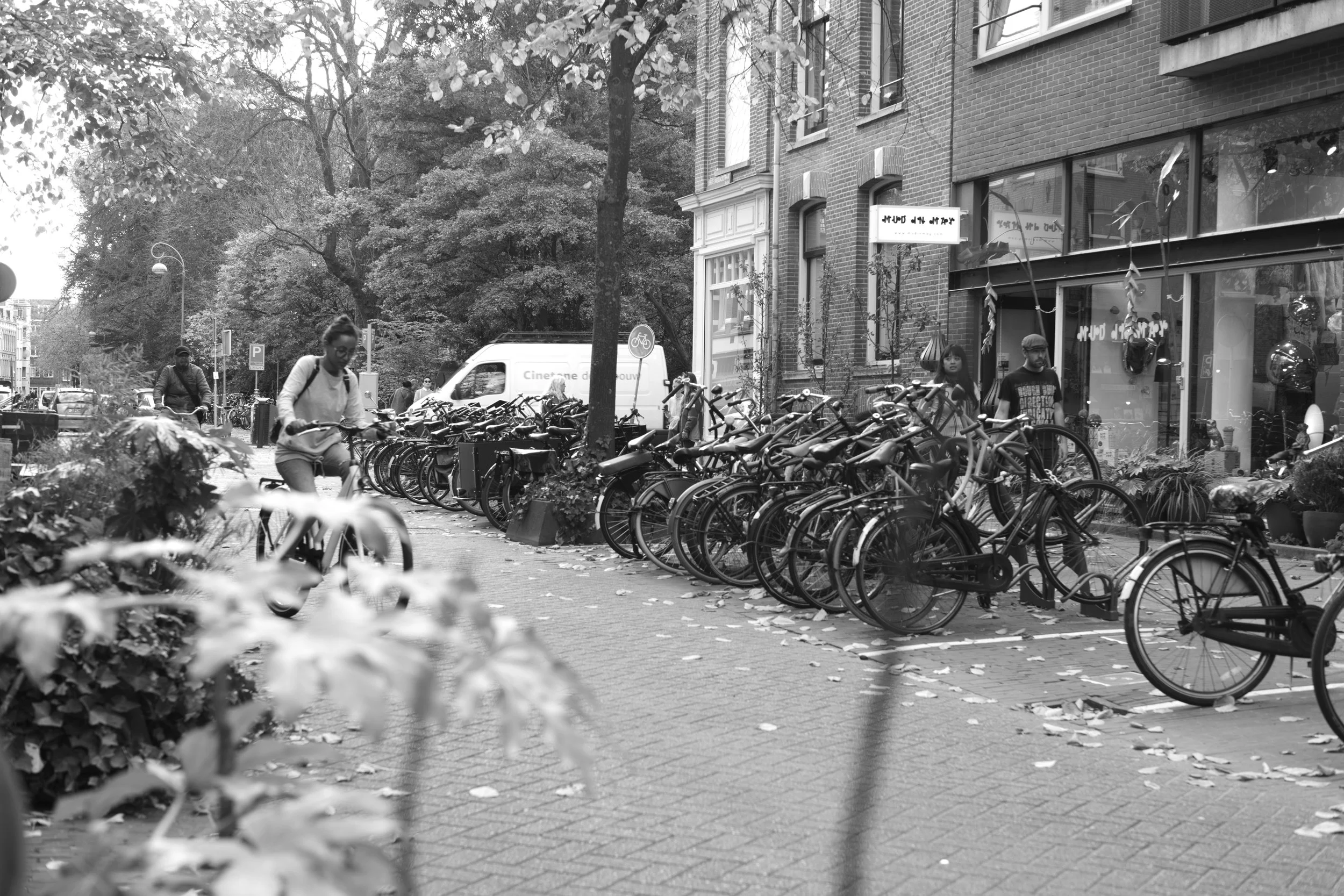 L1004895 2.jpg