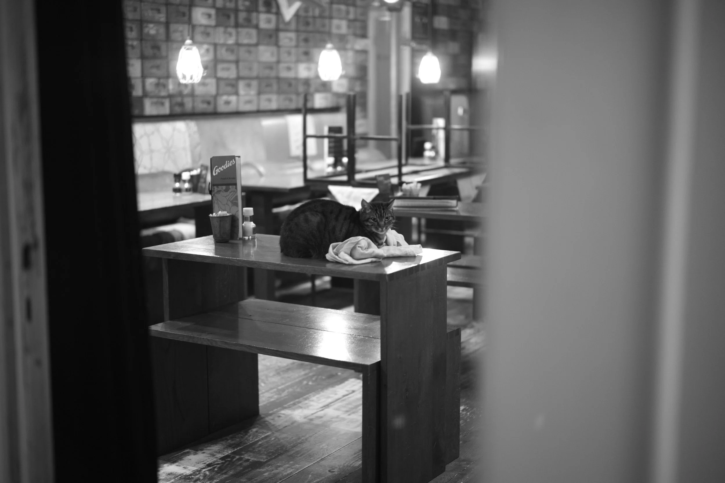 L1004880 2.jpg