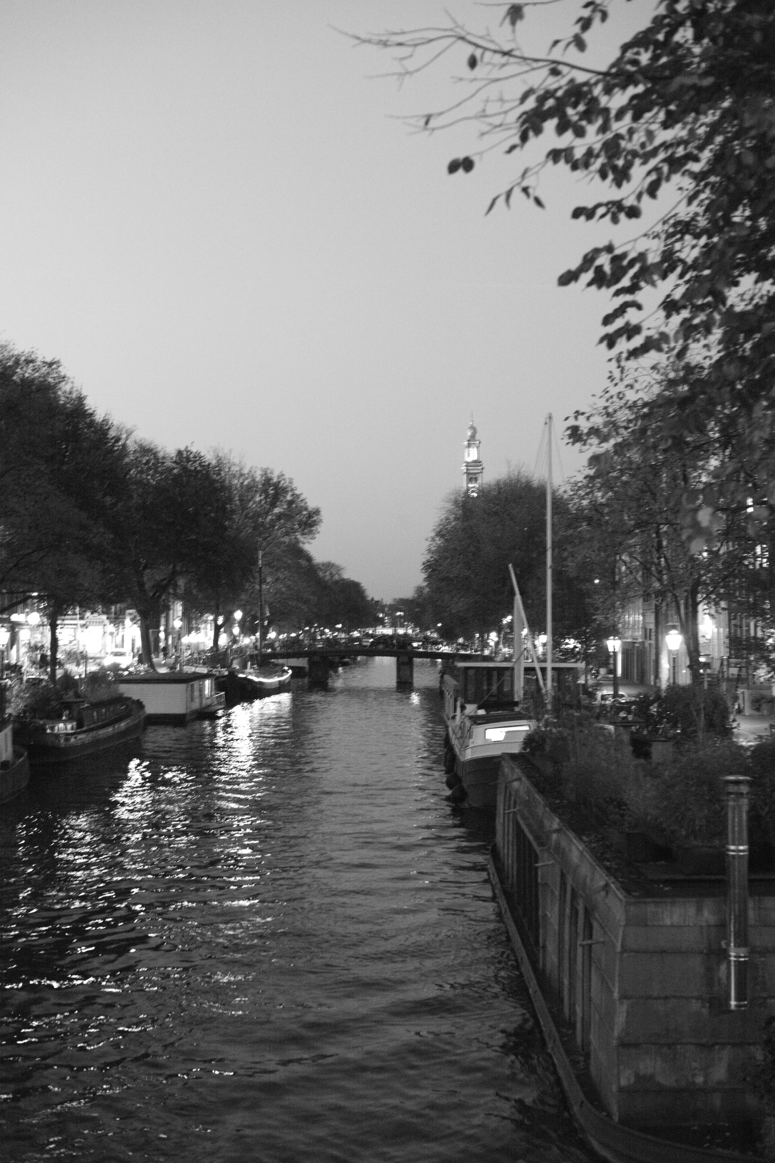 L1004885 2.jpg