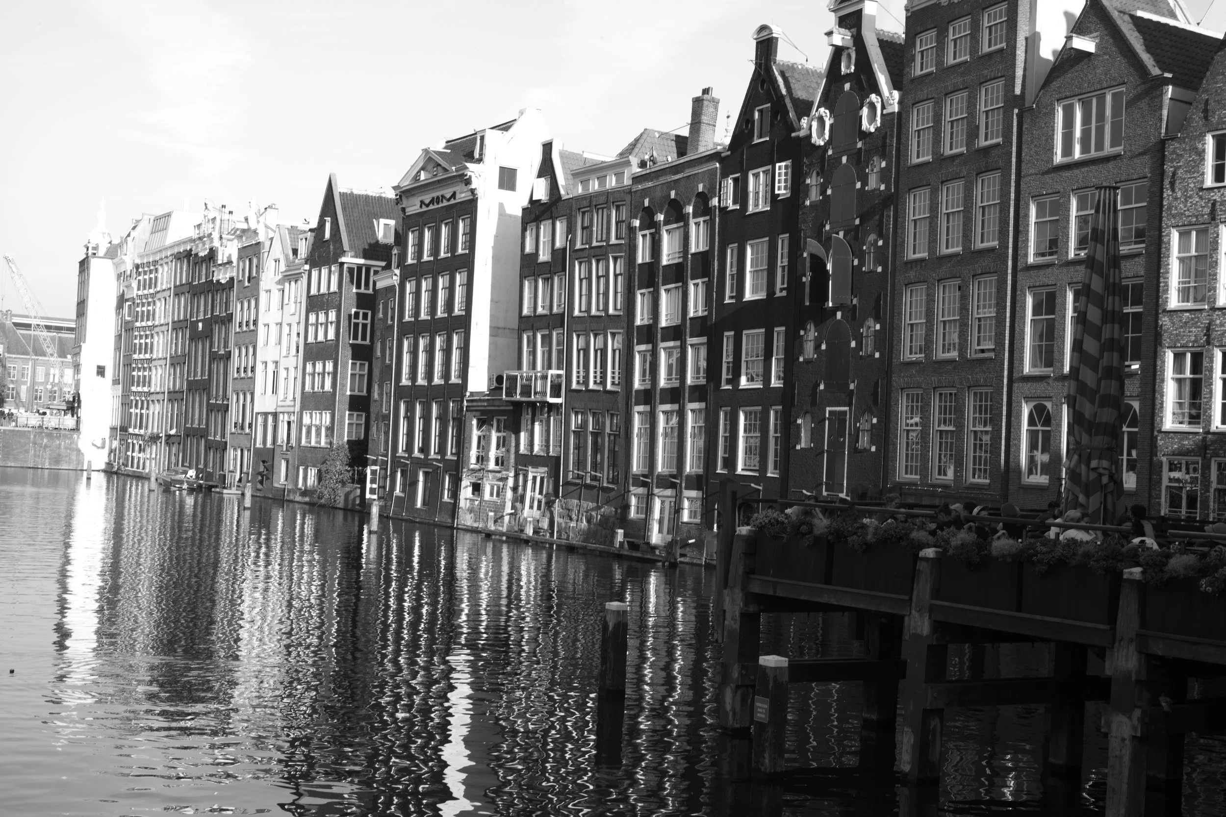 L1004837 2.jpg