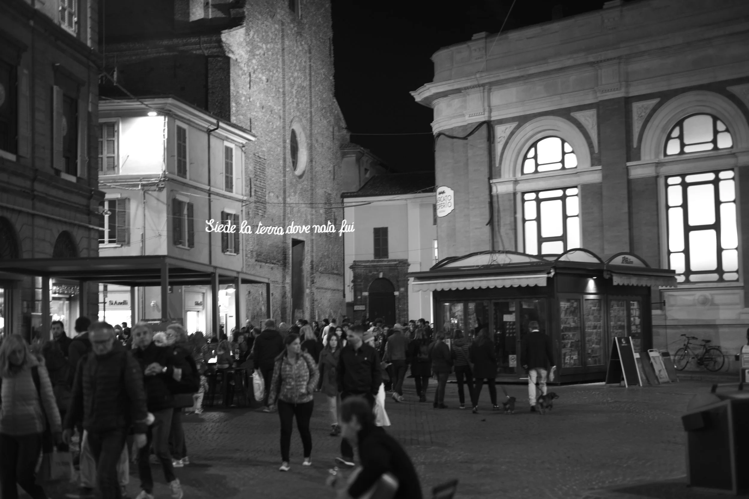 L1006833.jpg