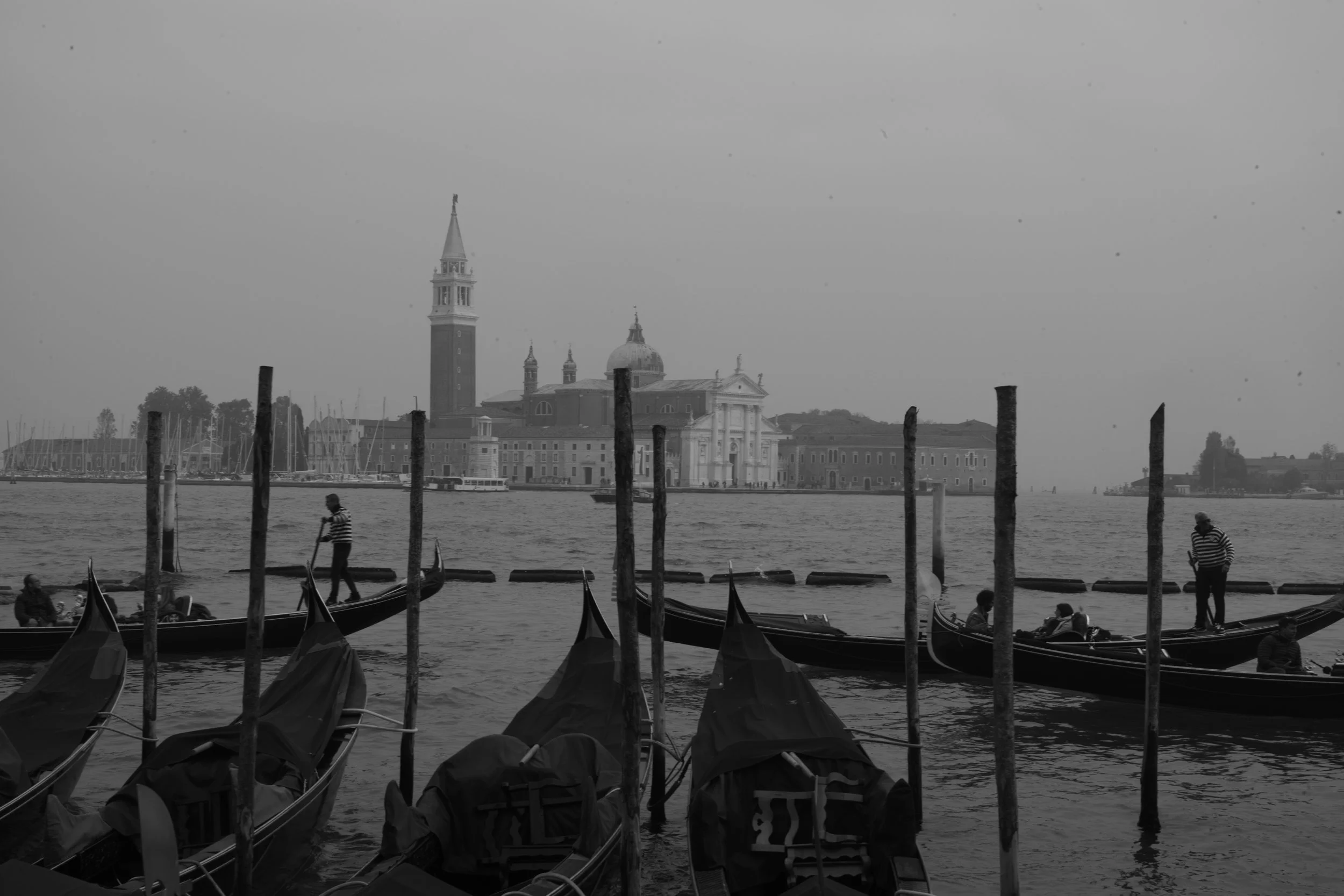 L1006859.jpg
