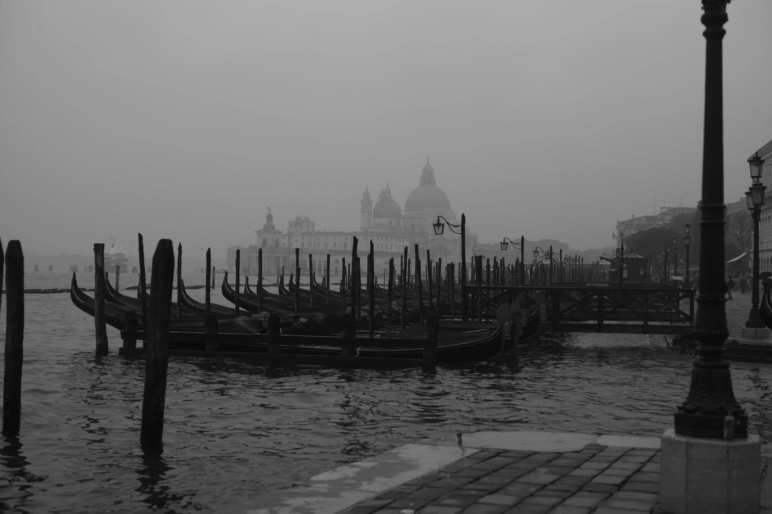L1006893.jpg