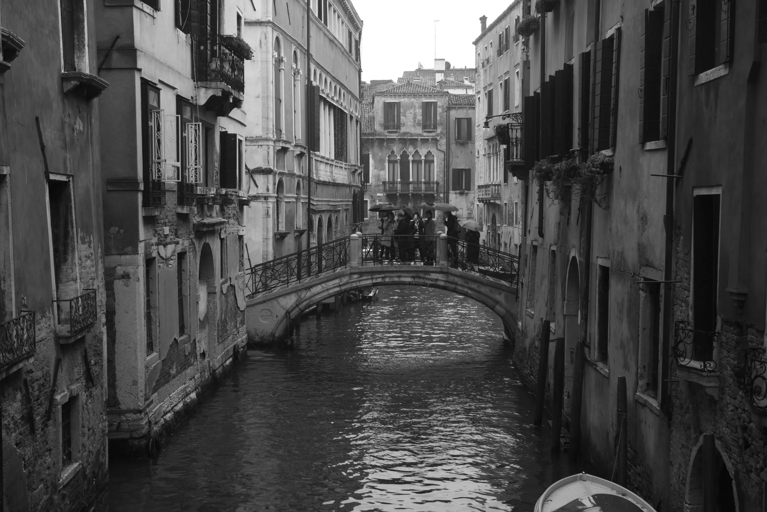 L1006907.jpg