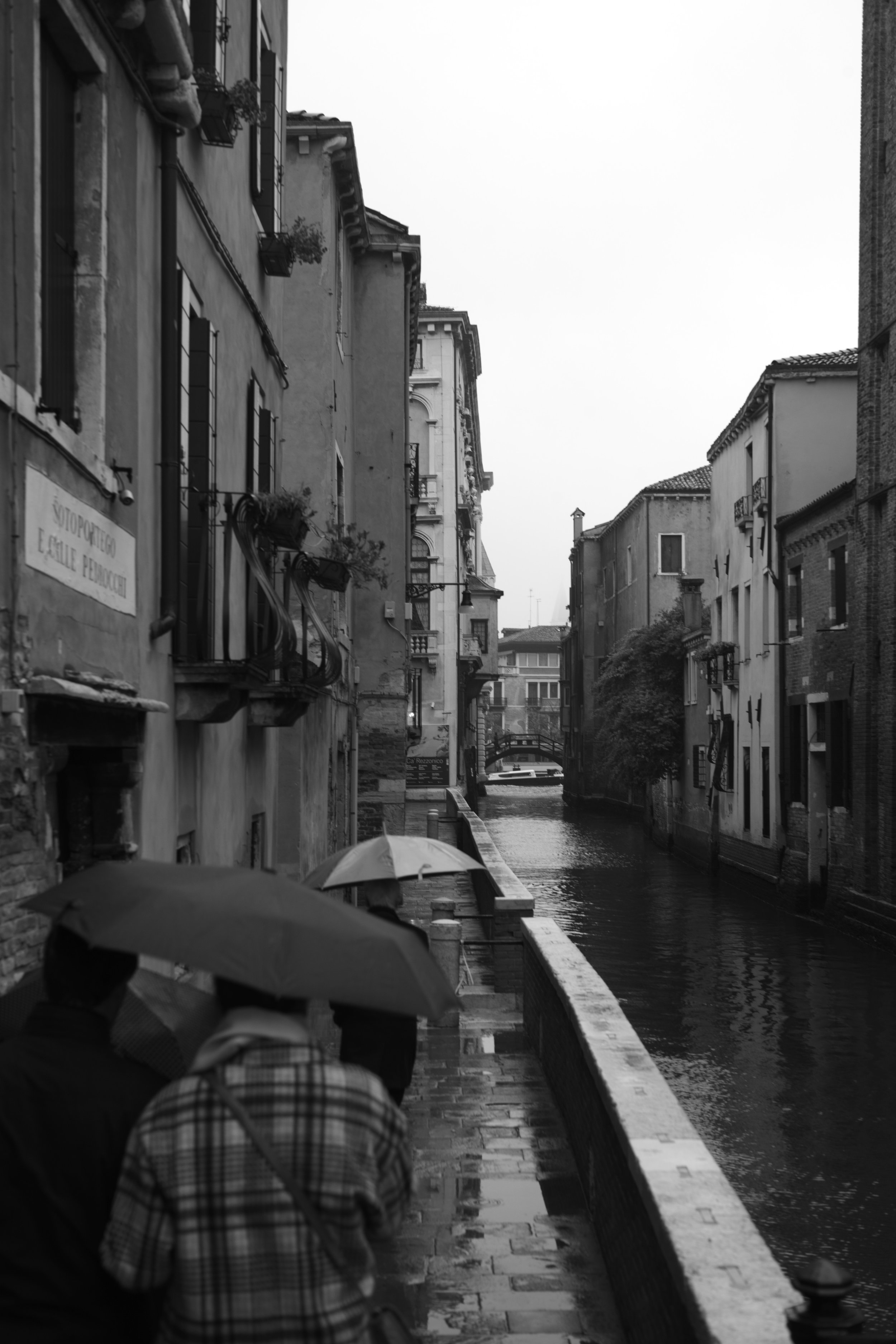 L1006950.jpg
