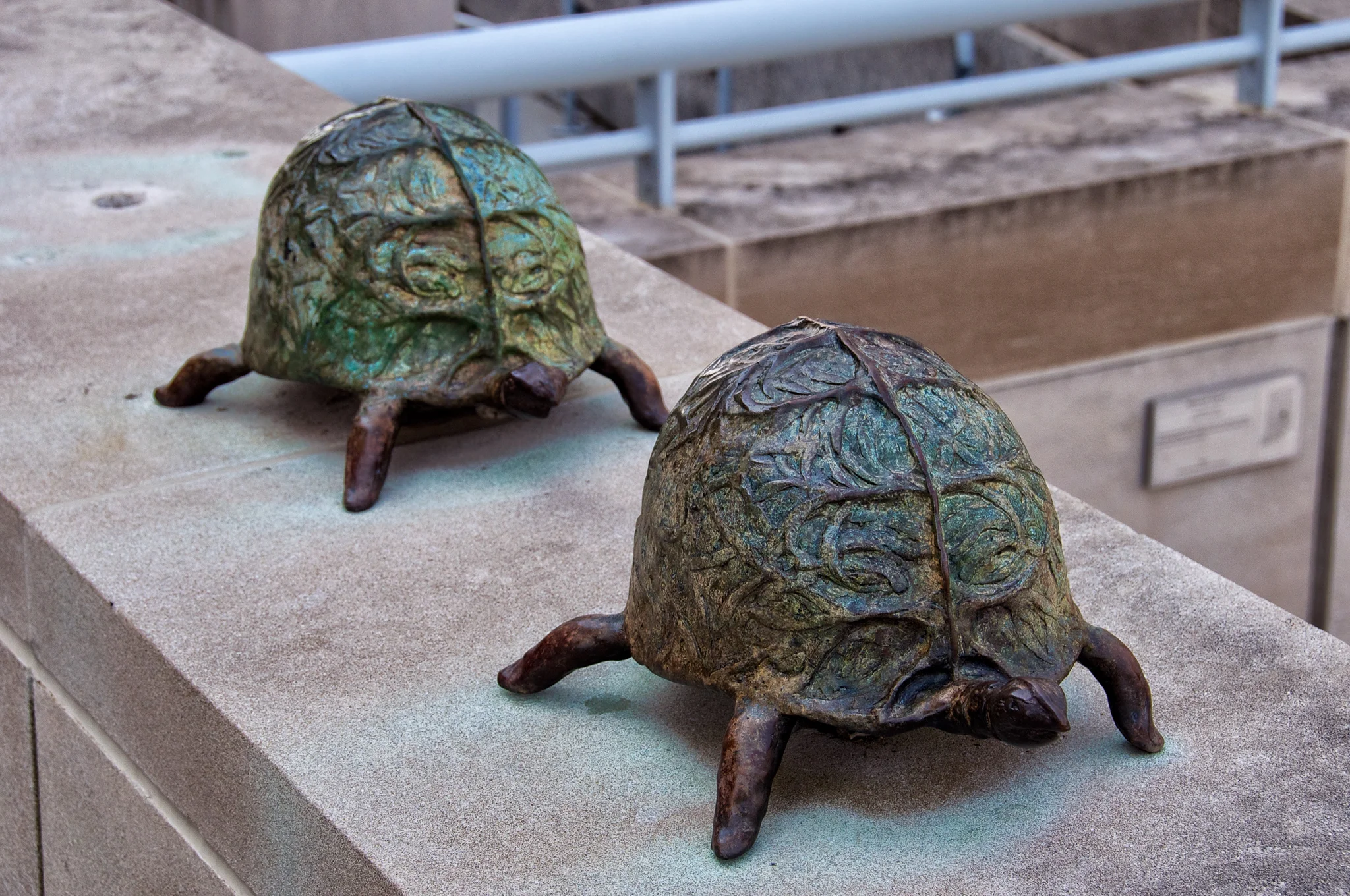 Another view of the turtles at the Indiana State Museum, from Where Am I? Game #211.