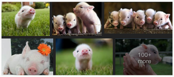 Sorry, couldn't decide, they're all showing different angles and are just too darn cute! Thanks, Google Images. :-)
