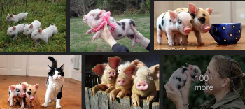 Thanks again, Google Images!