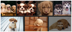 Puppies! Yay Google Images. :-)