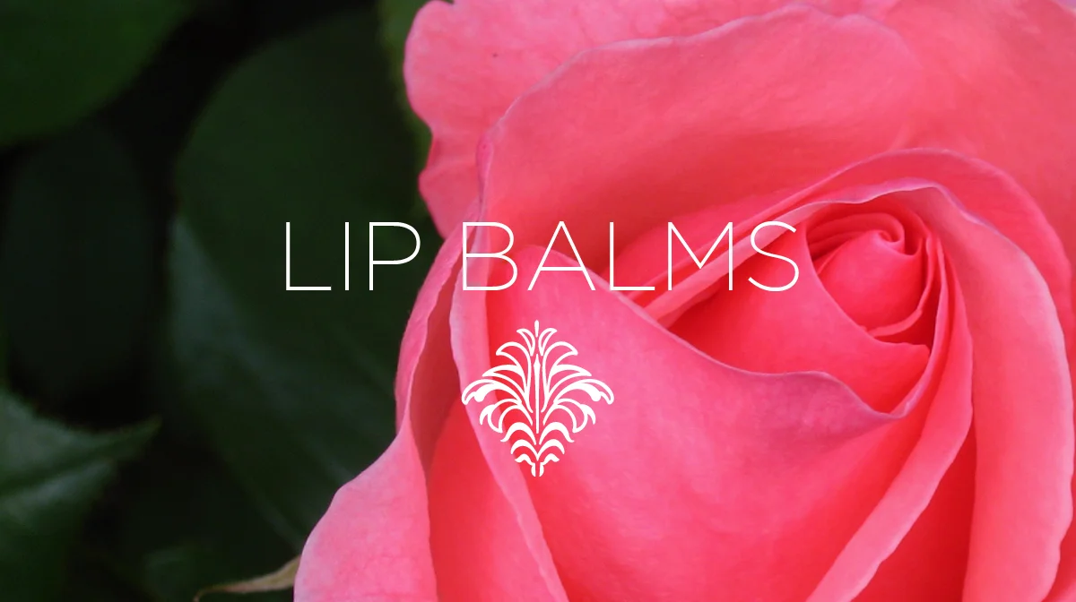 lipbalms2.jpg