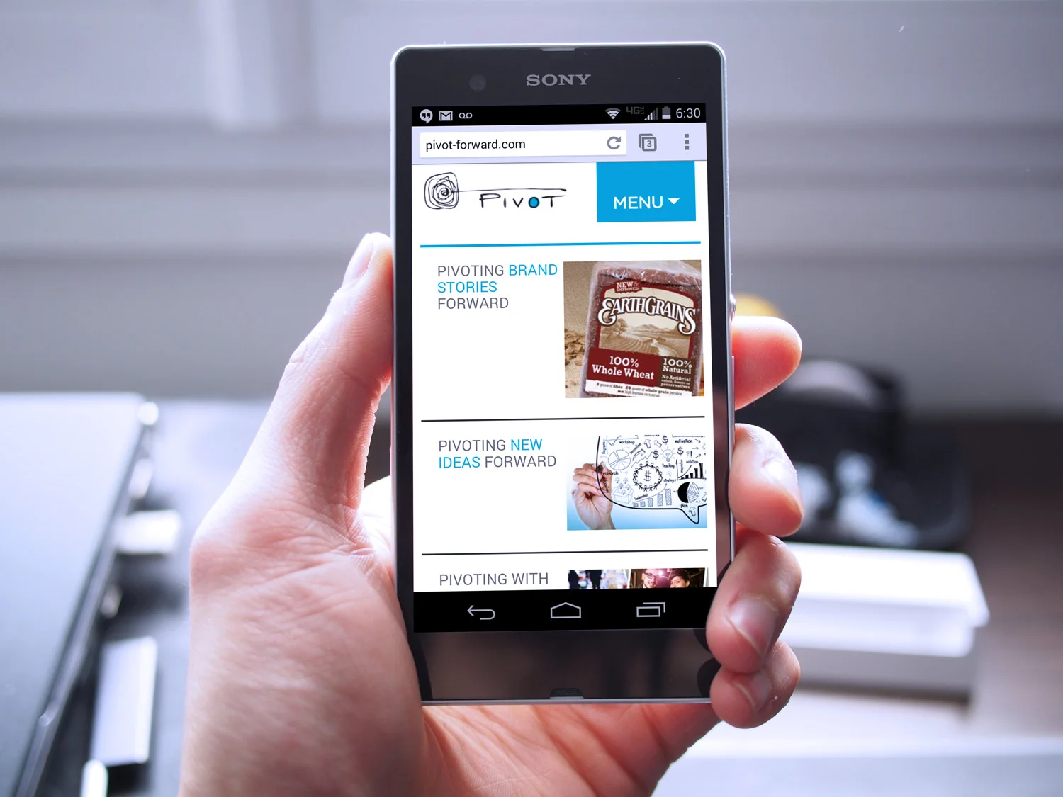 PivotWebsite-MobileResponsive-LizSchwartz.jpg