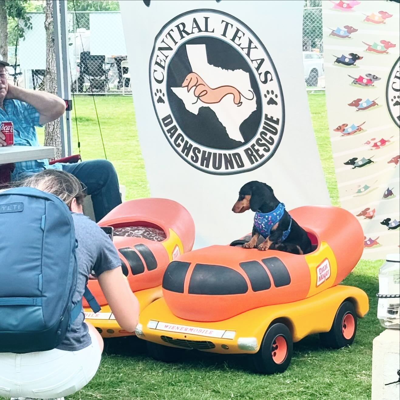 Who doesn&rsquo;t love a good Weiner dog race?