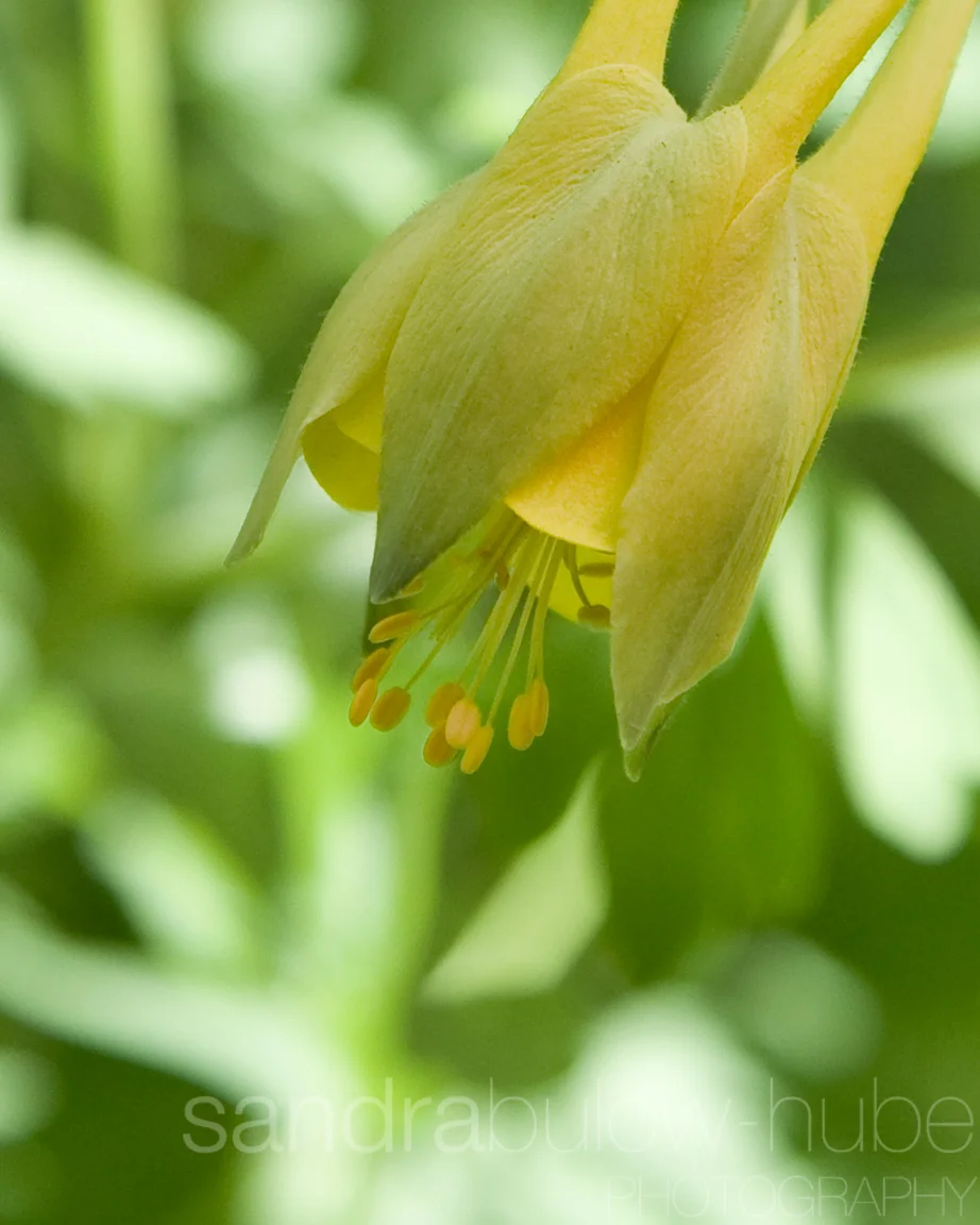 075-misc.jpg