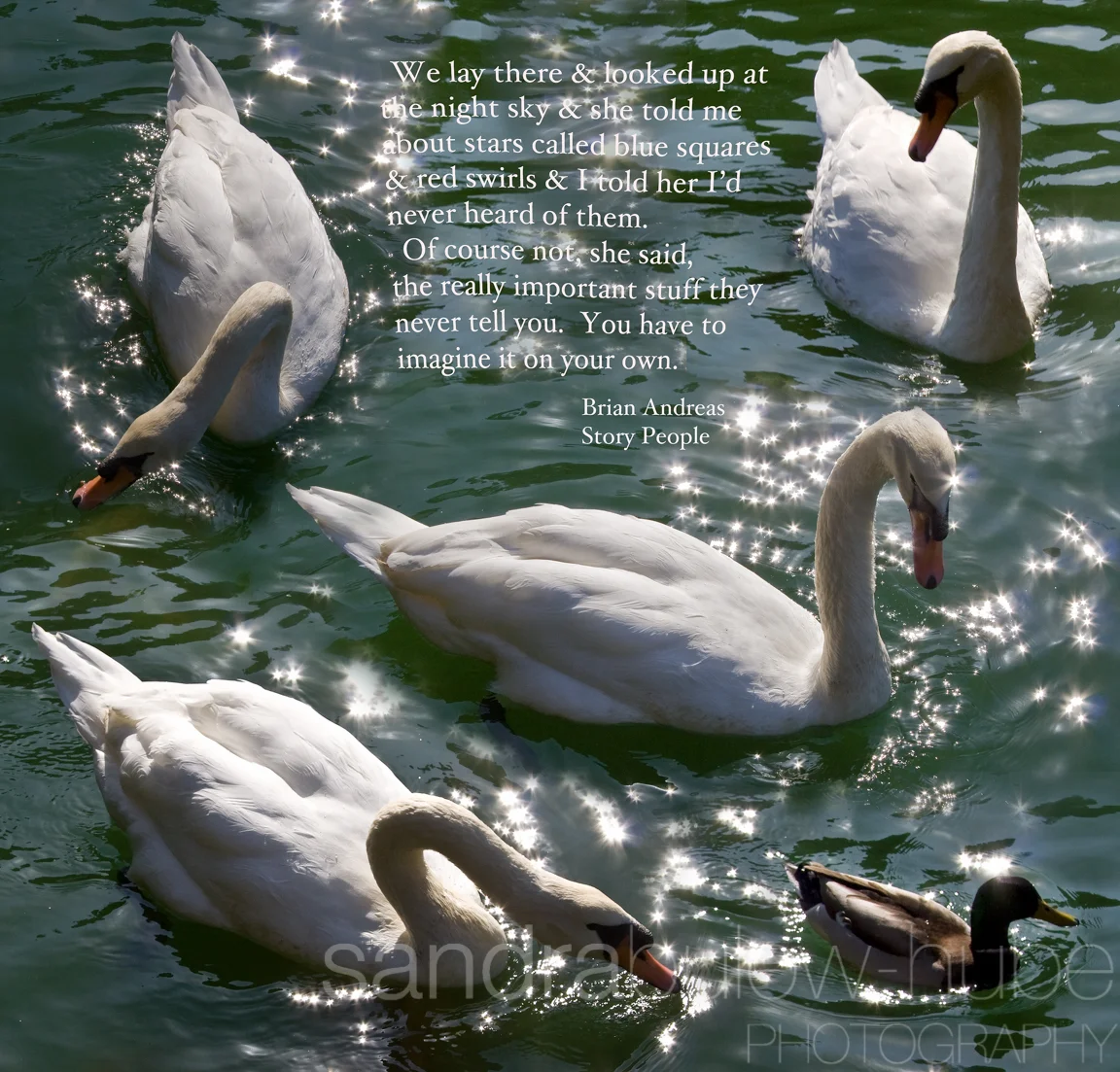 352-misc.jpg