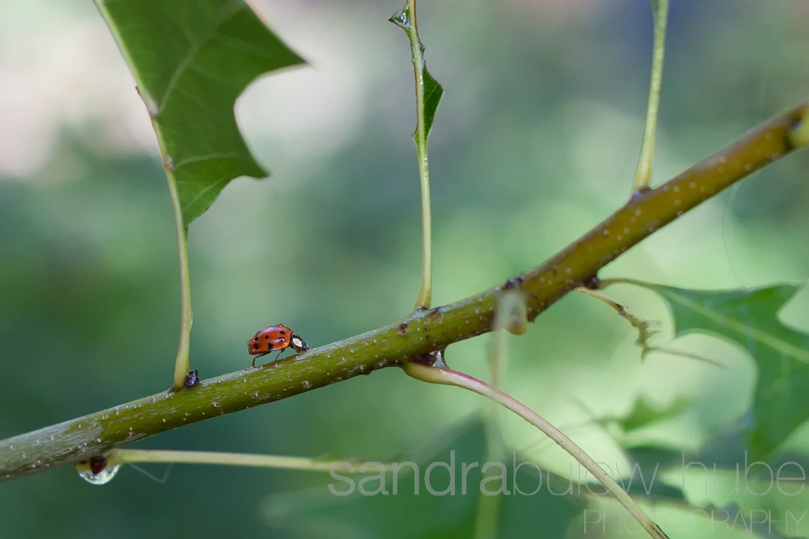 Test-6634.jpg