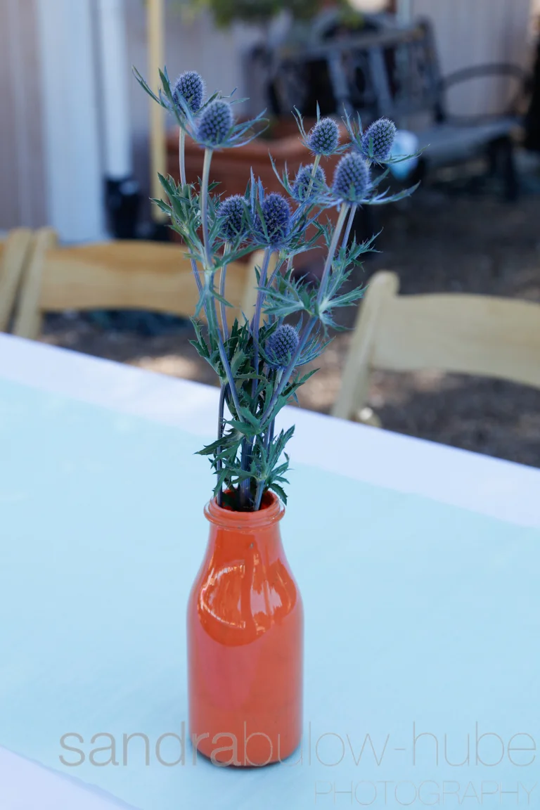 2013 July-6011.jpg