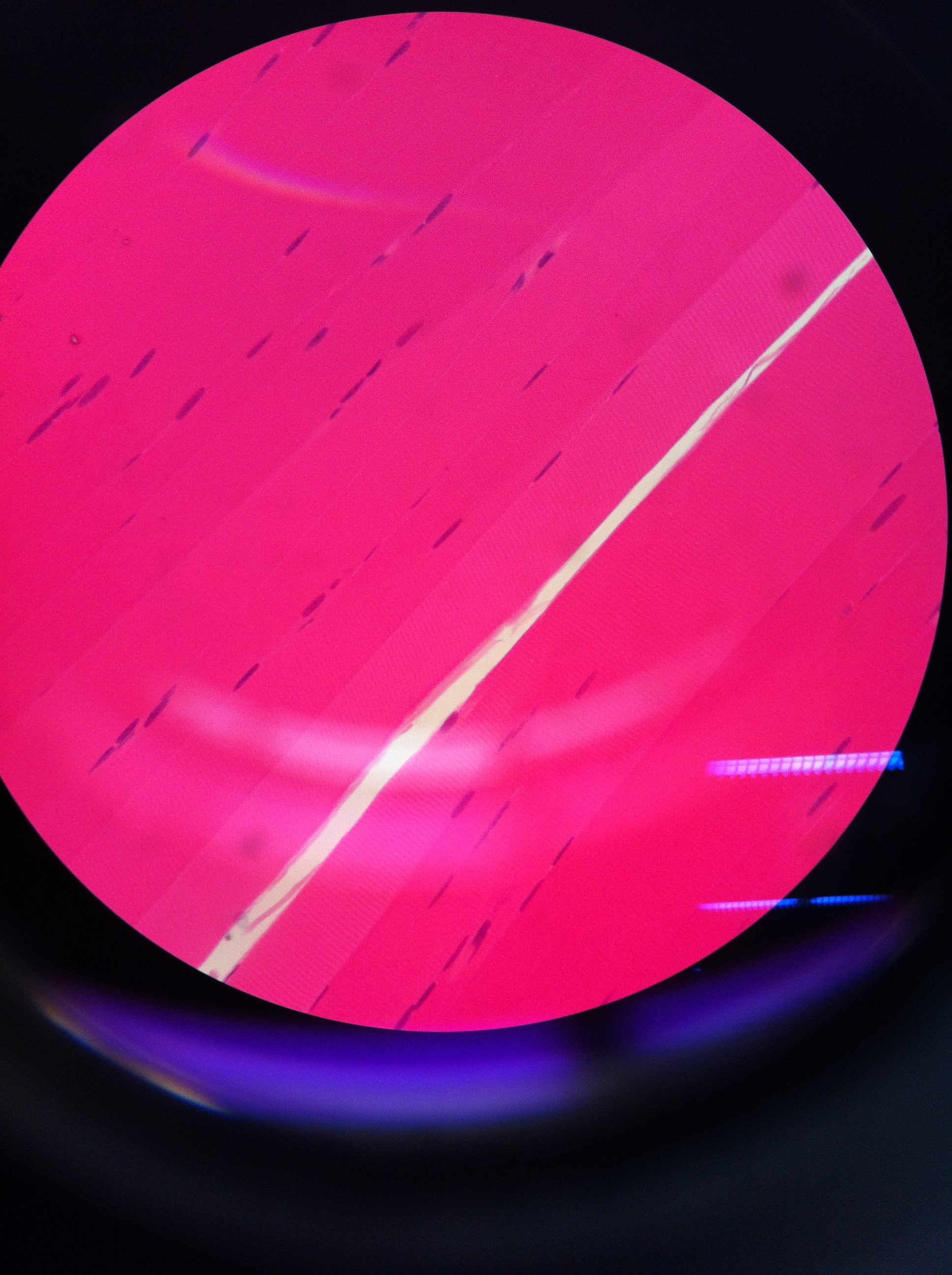 Skeletal Muscle 400X