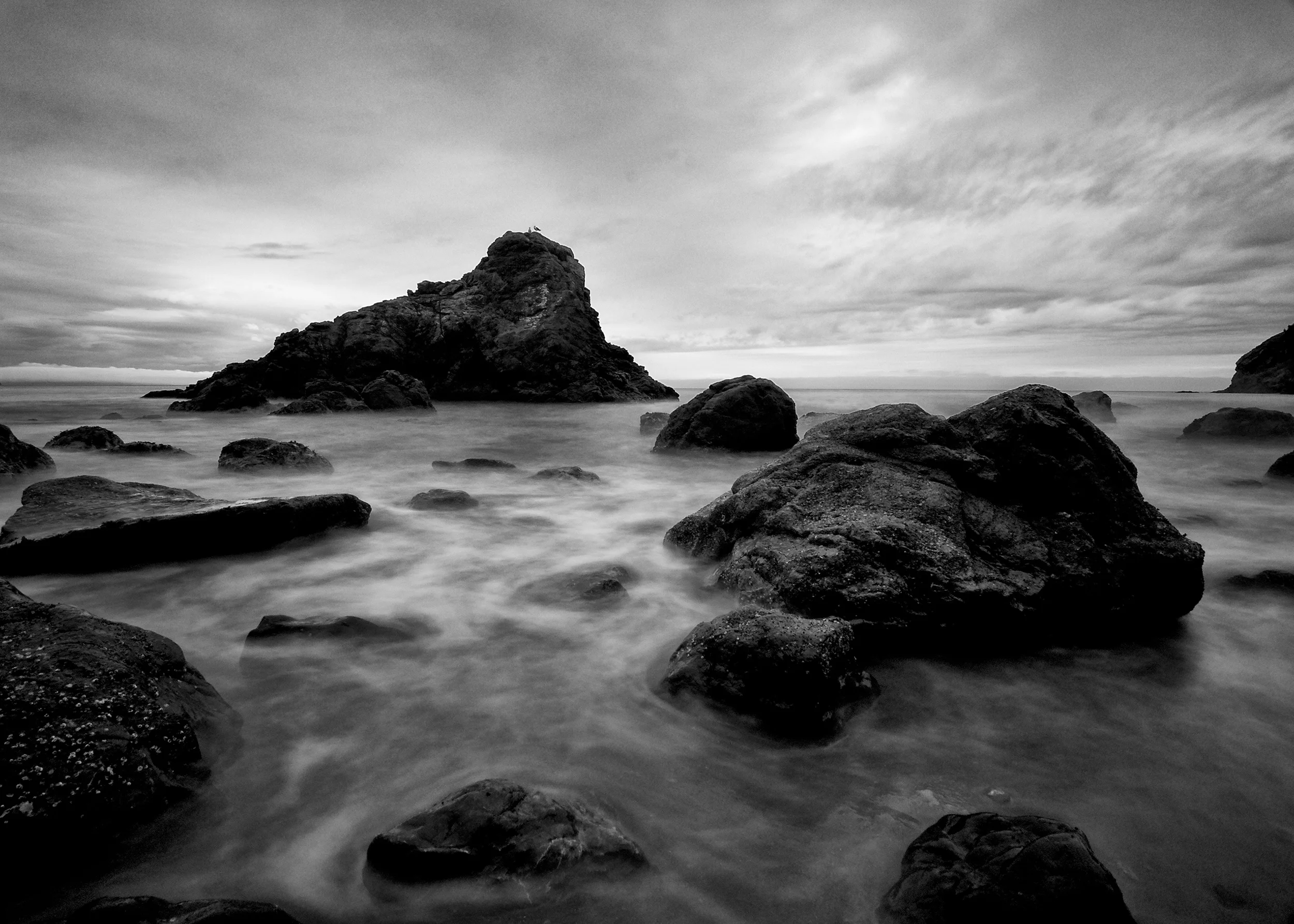 Muir Beach 2
