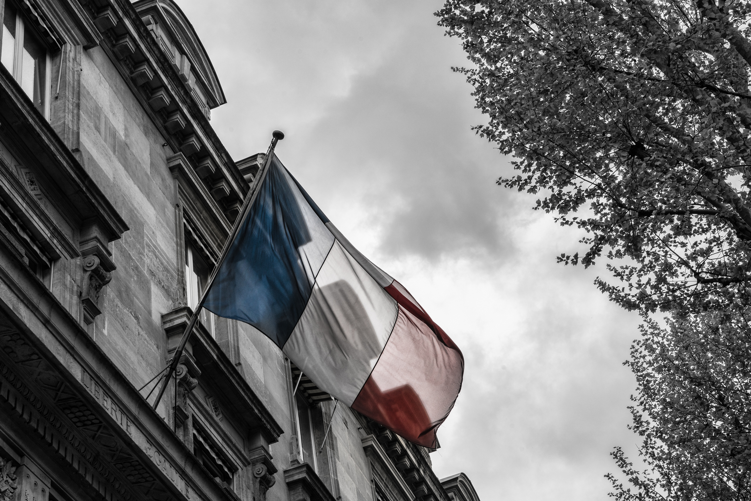 French Flag