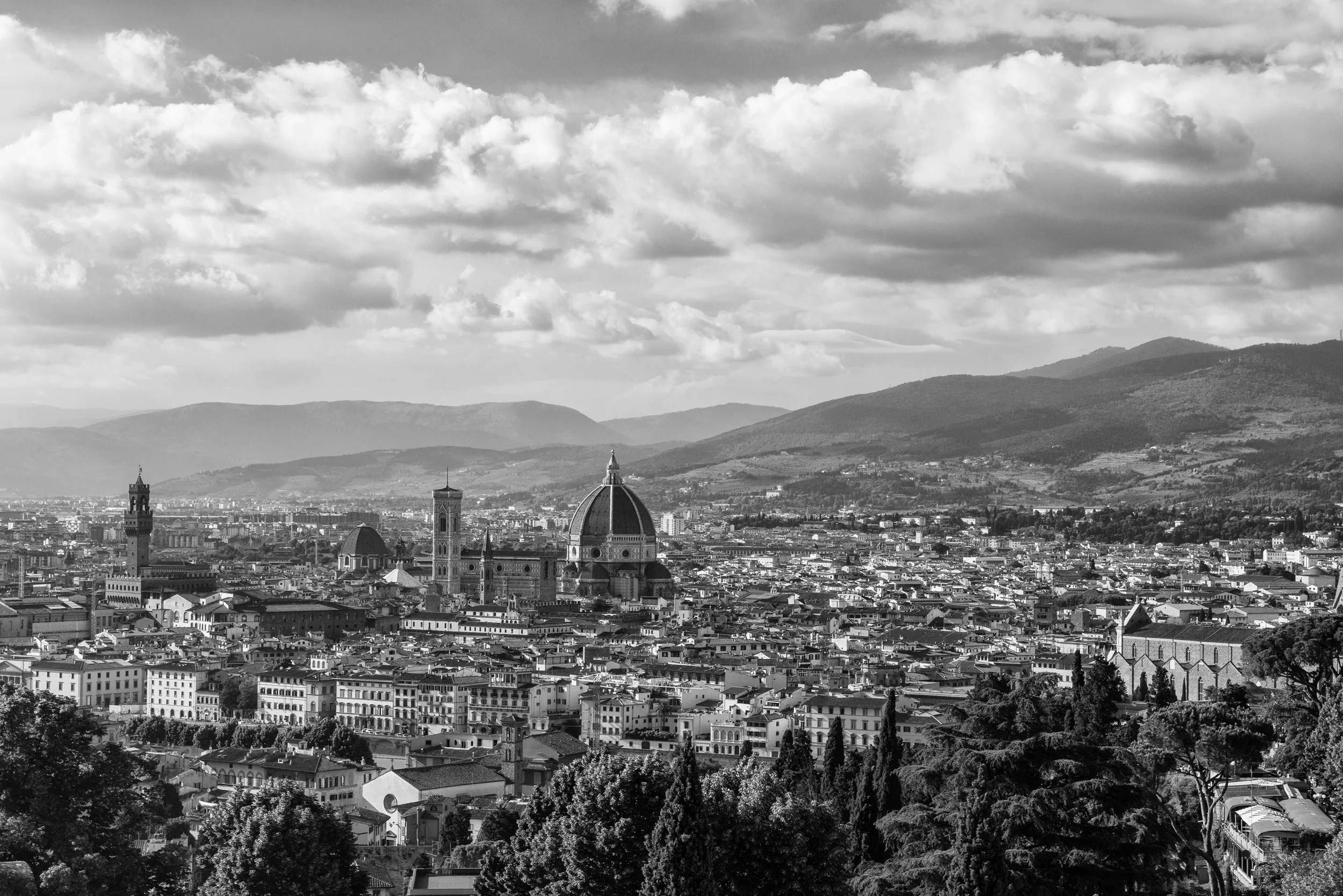The Rolling Hills of Florence