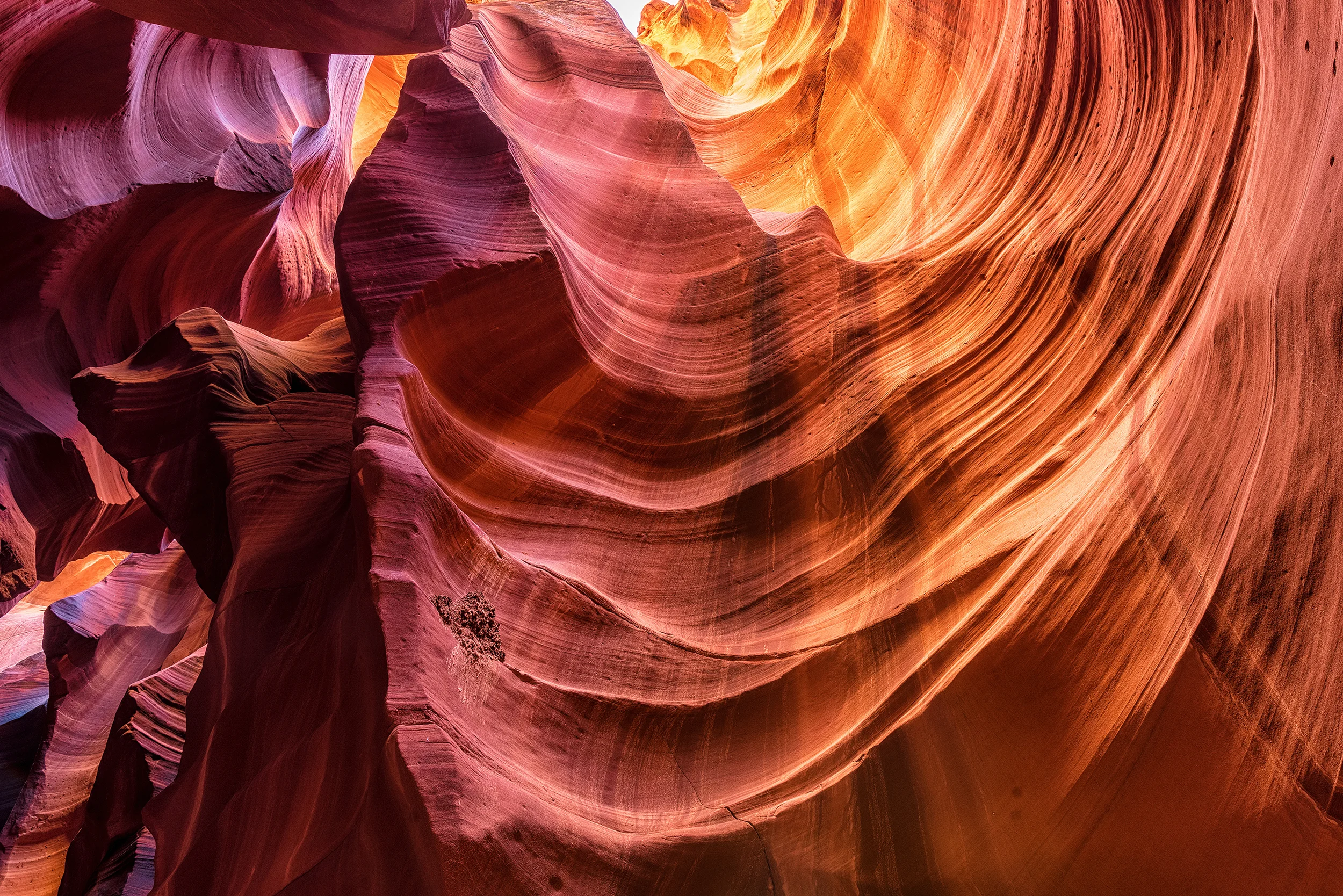 Canyon Fire