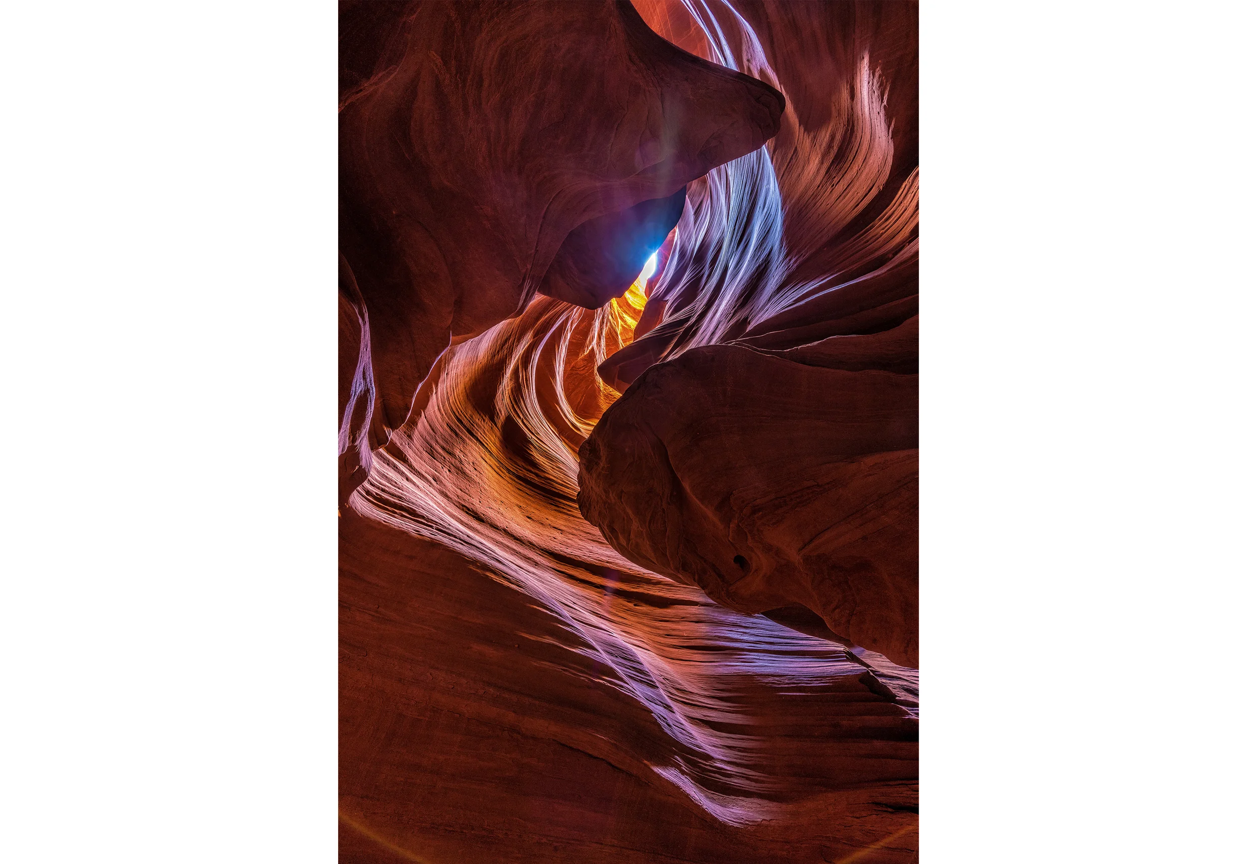Antelope Spirit - Vertical.jpg
