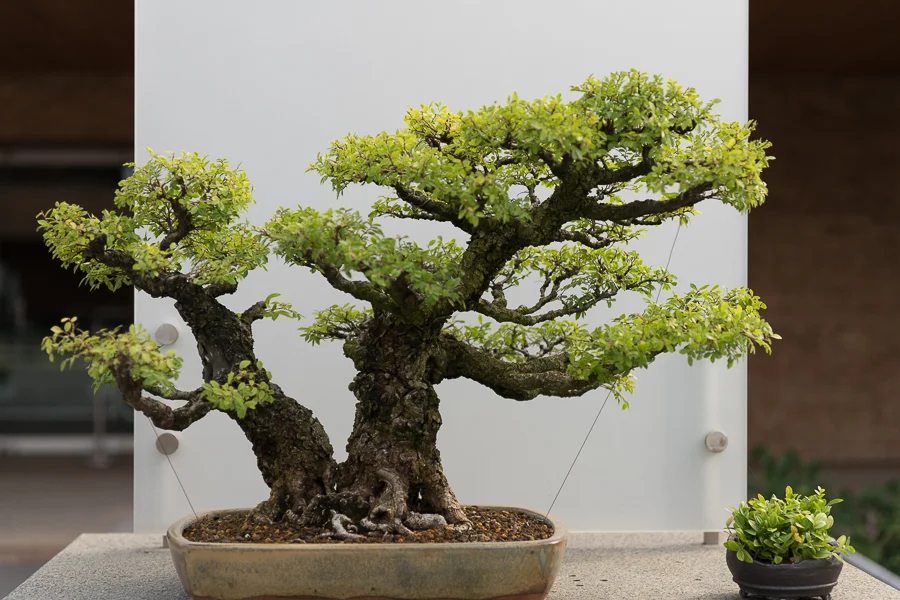 Chicago-Botanic-Garde-10.jpg