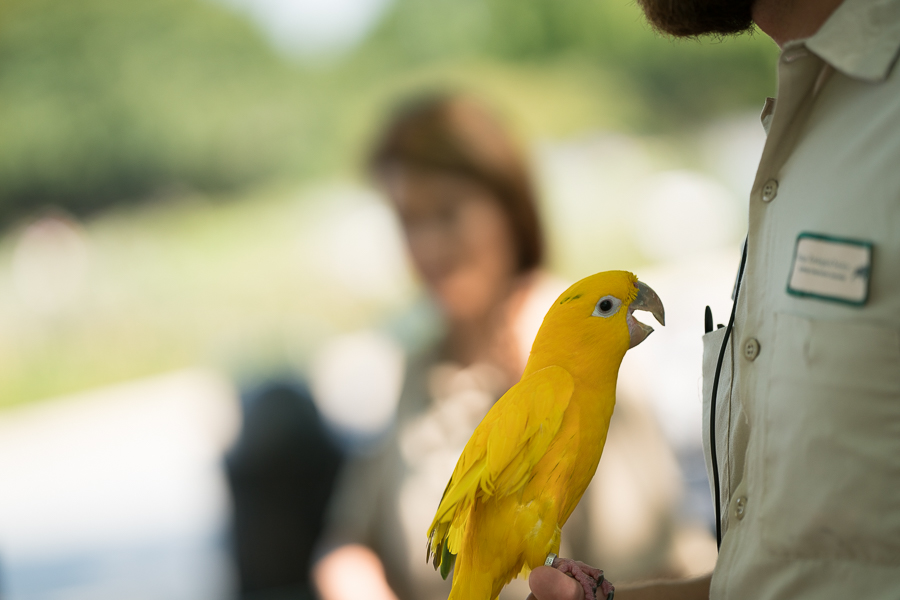 Brookfield Zoo-9.jpg