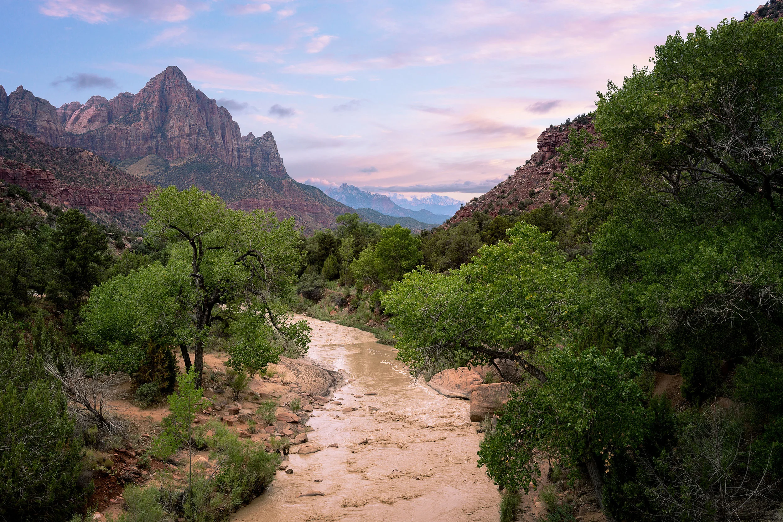 The Watchman